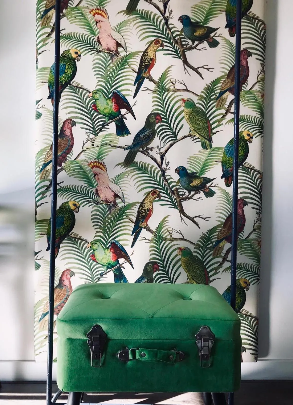 Eleventh Floor Suites