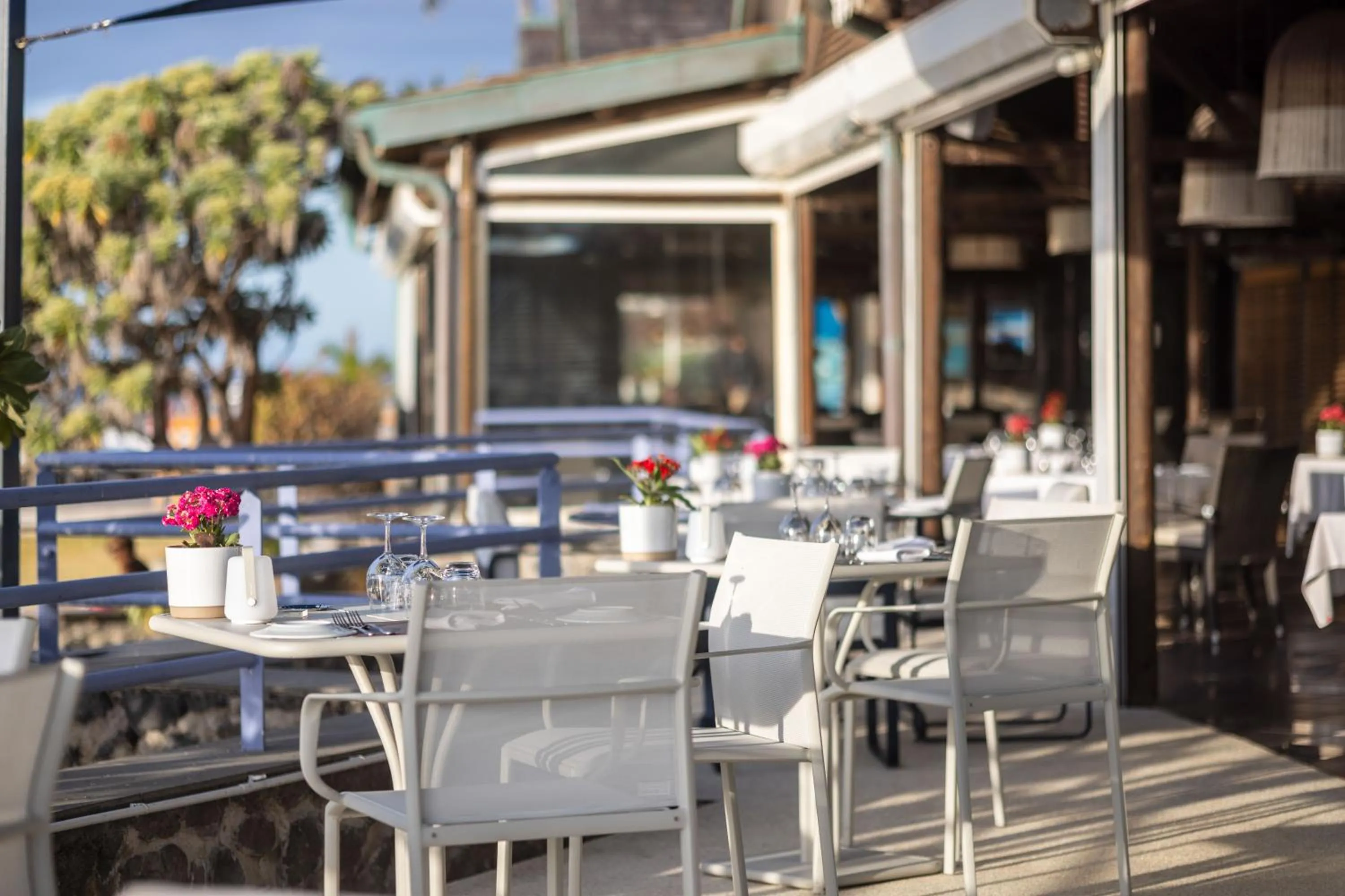 Restaurant/places to eat in Hotel Le Boucan Canot