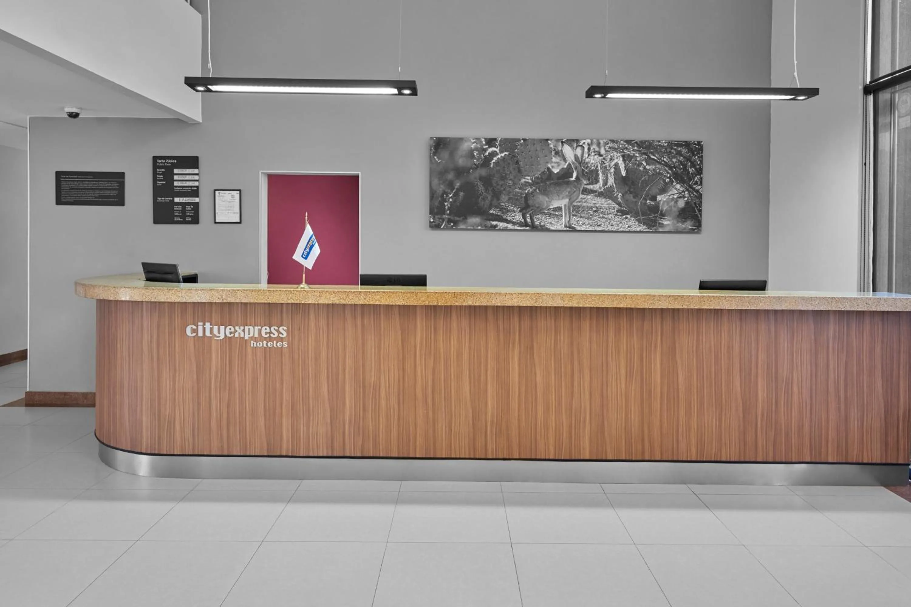 Lobby or reception in City Express by Marriott Torreon