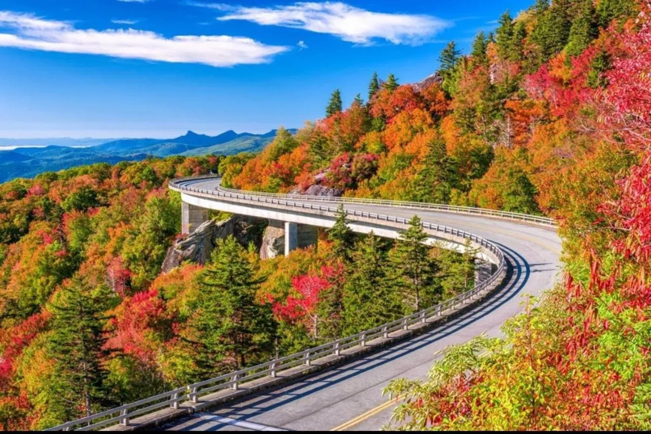 Off site in A Magical Experience