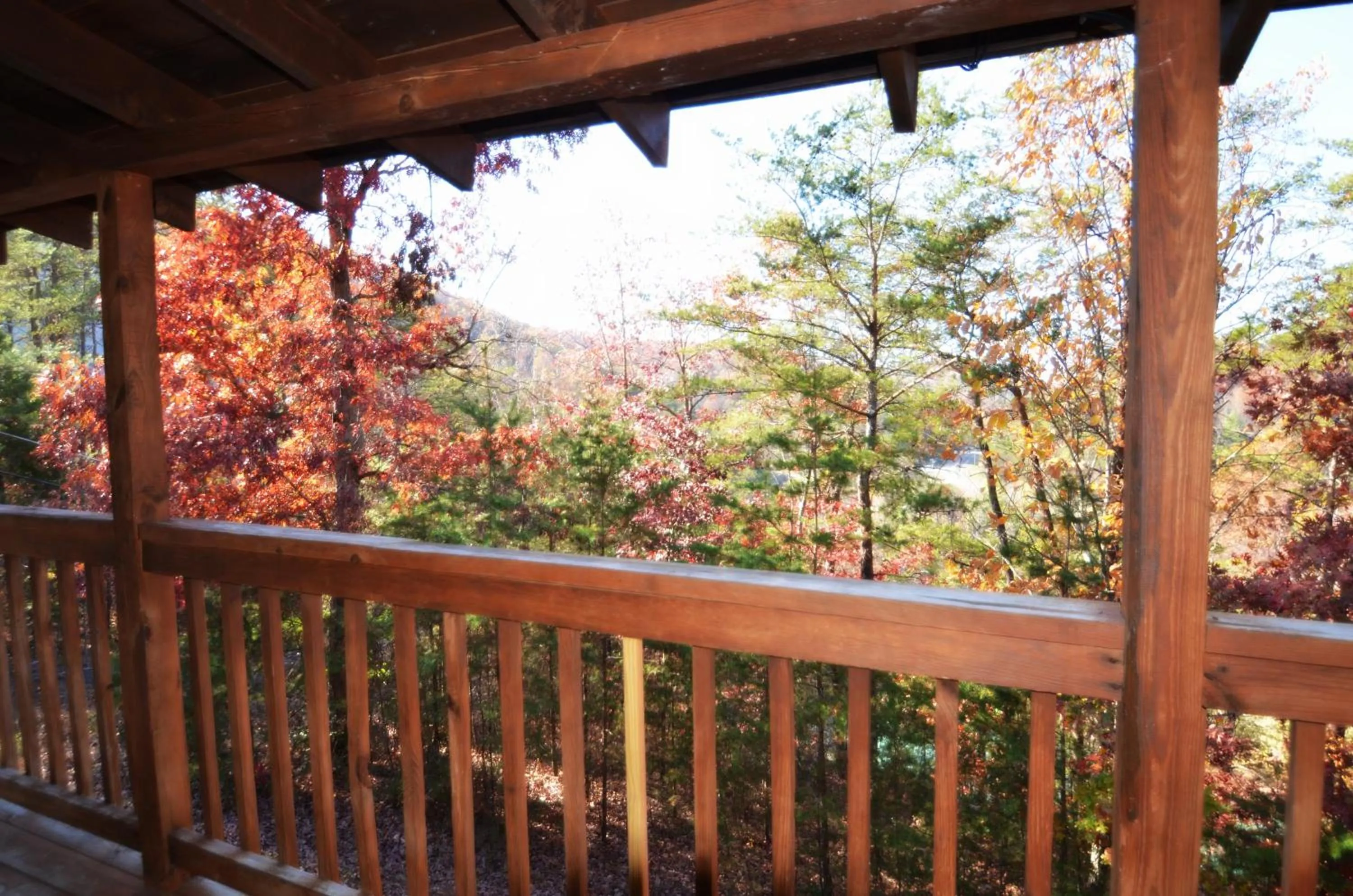 Mountain view in A Magical Experience