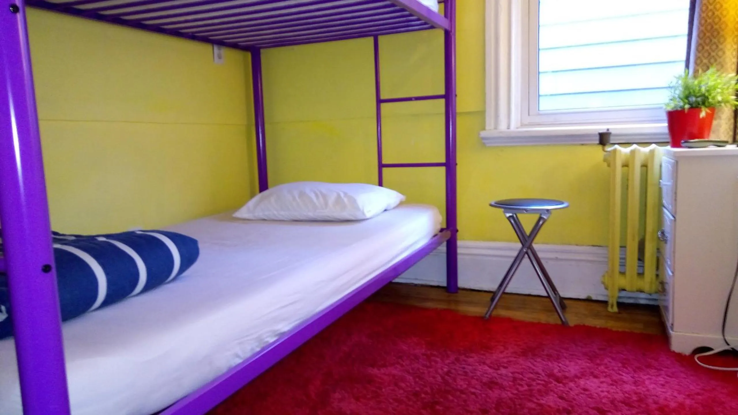 bunk bed, Bed in Ottawa Backpackers Inn