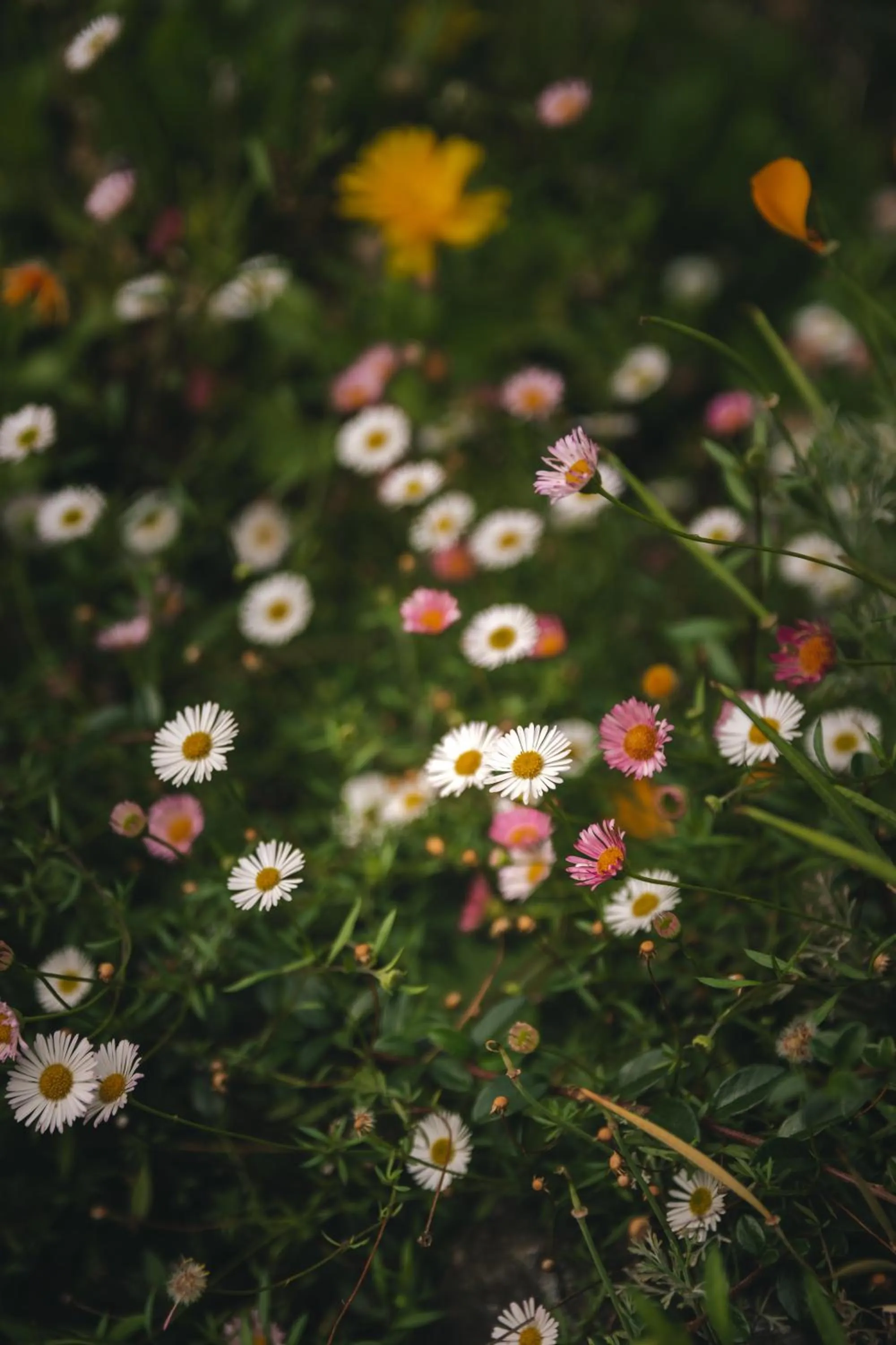 Hosteria Las Lengas by Visionnaire