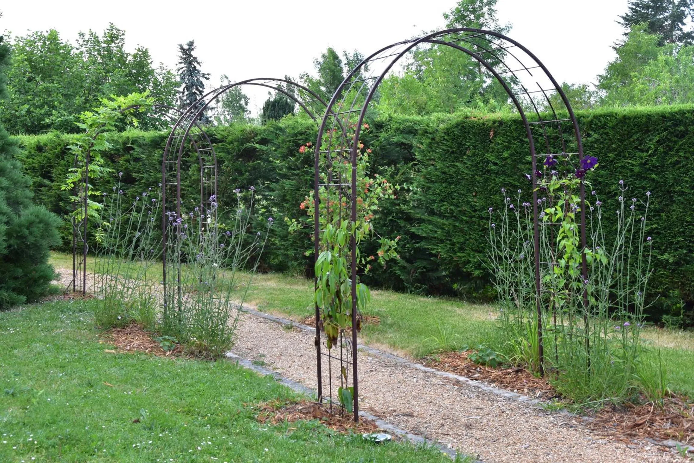 Le Clos du Vieux Port