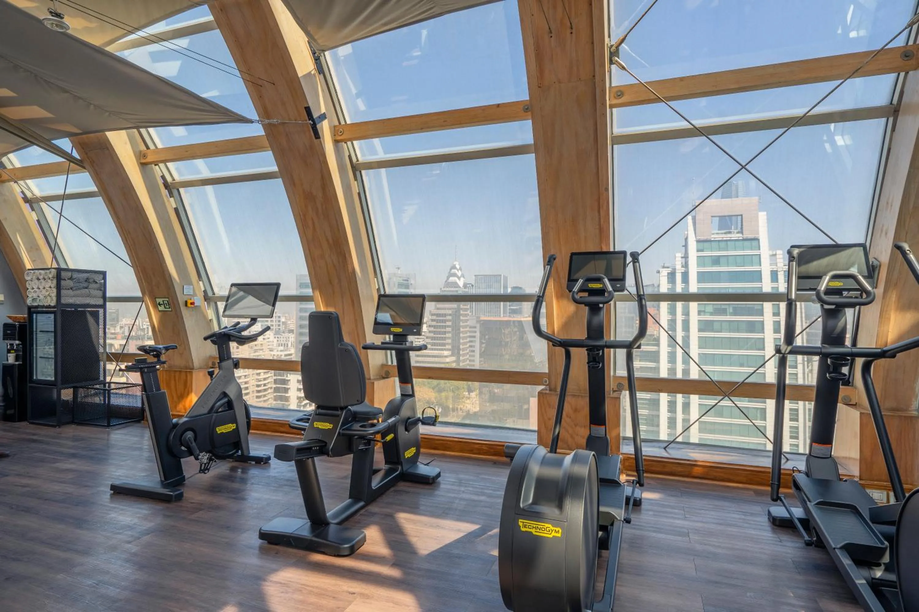 Fitness centre/facilities in The Ritz-Carlton, Santiago