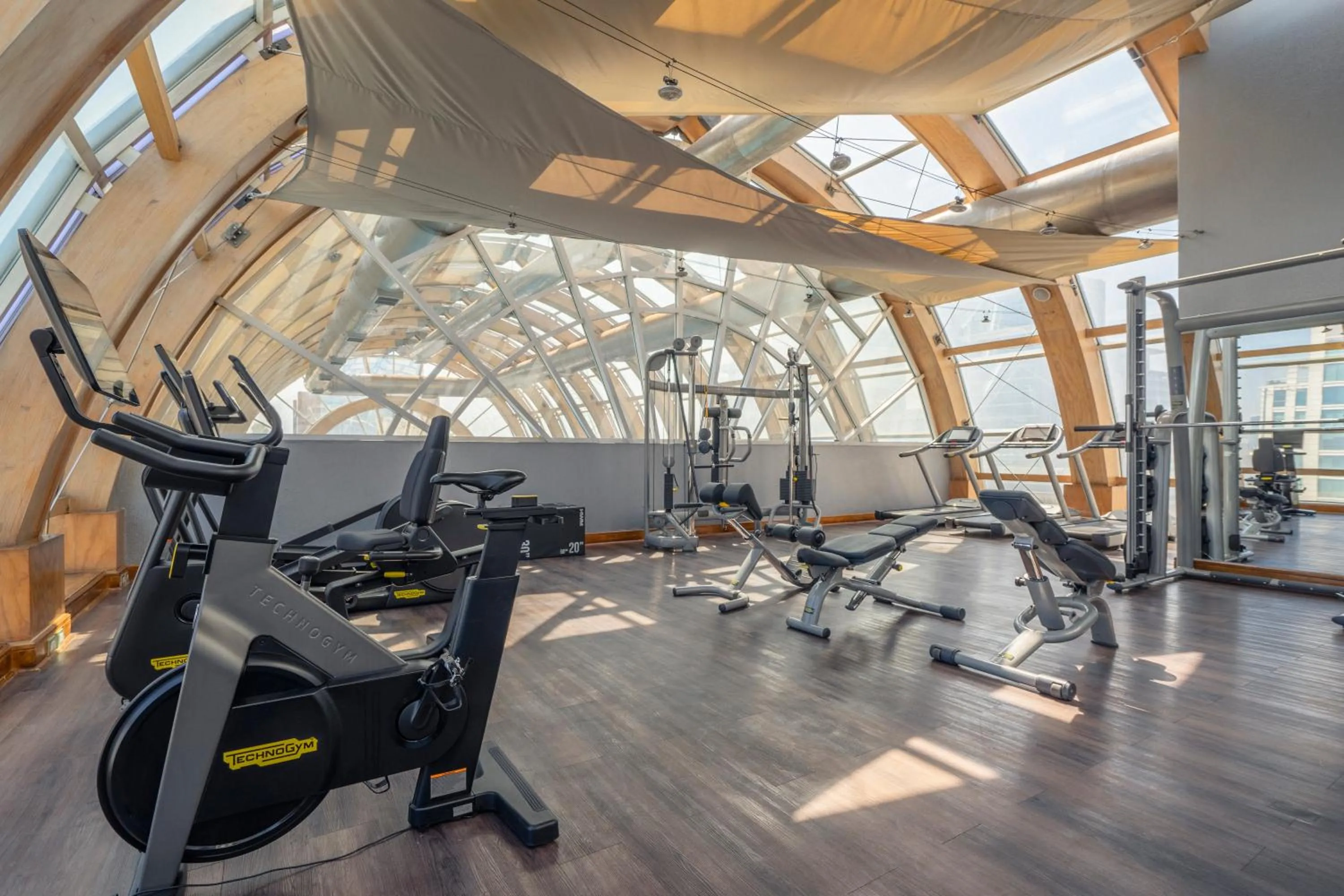 Fitness centre/facilities in The Ritz-Carlton, Santiago