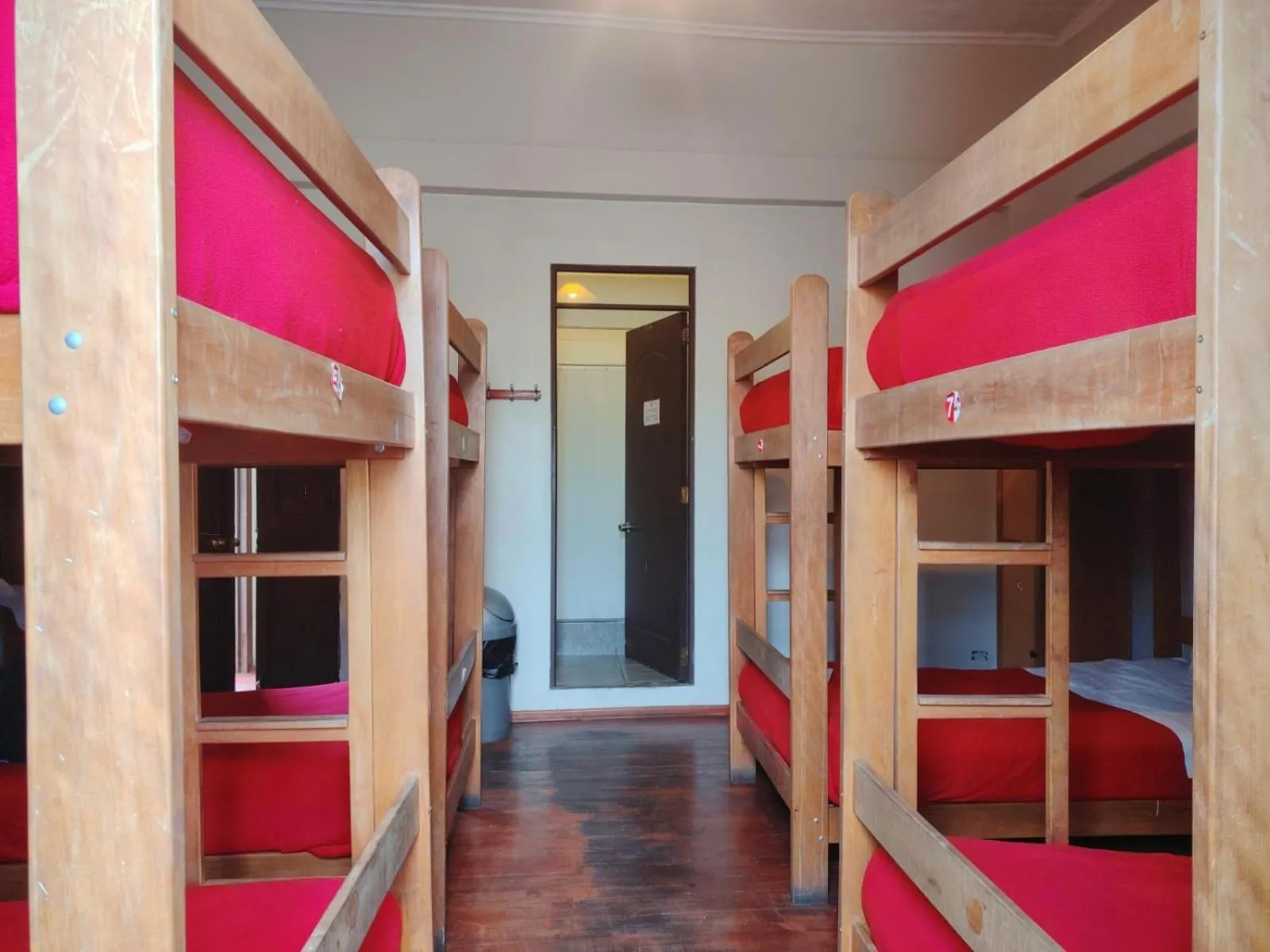 Bed in Flying Dog Hostel Arequipa