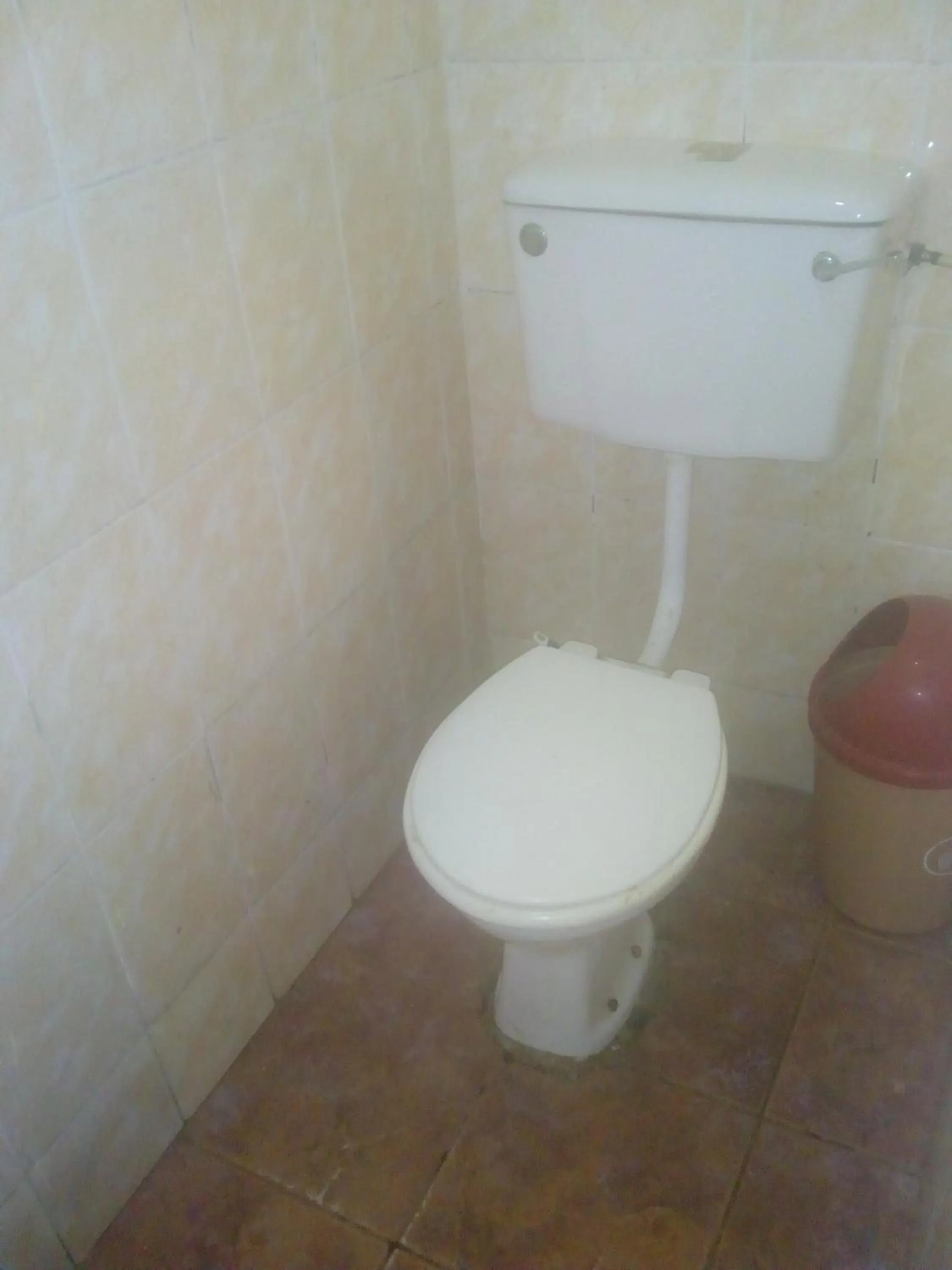 Toilet in Rising Phoenix