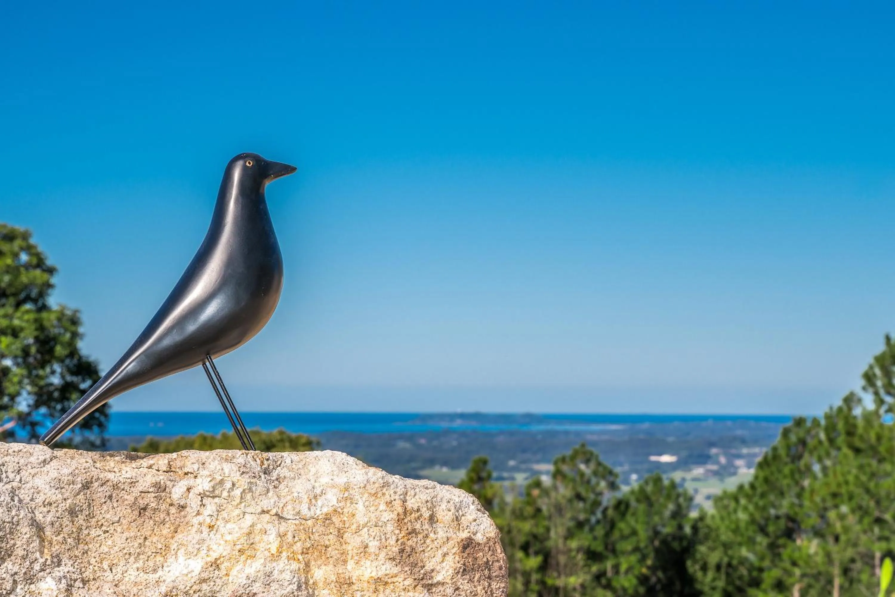 Natural landscape in Blackbird Luxury Accommodation