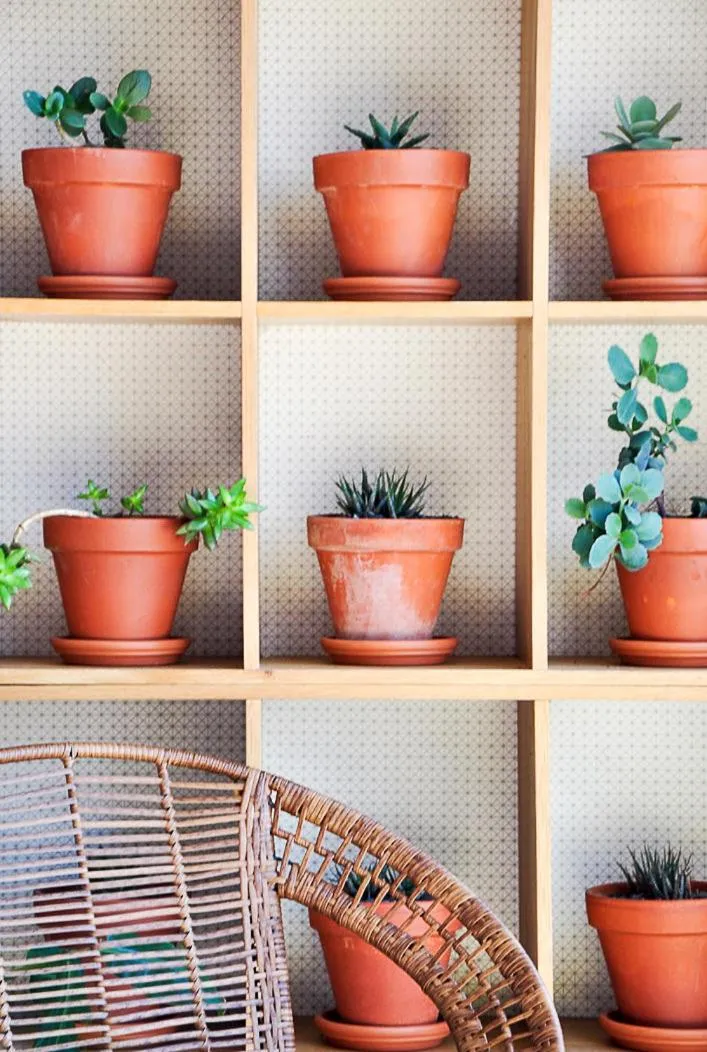 Blackbird Luxury Accommodation