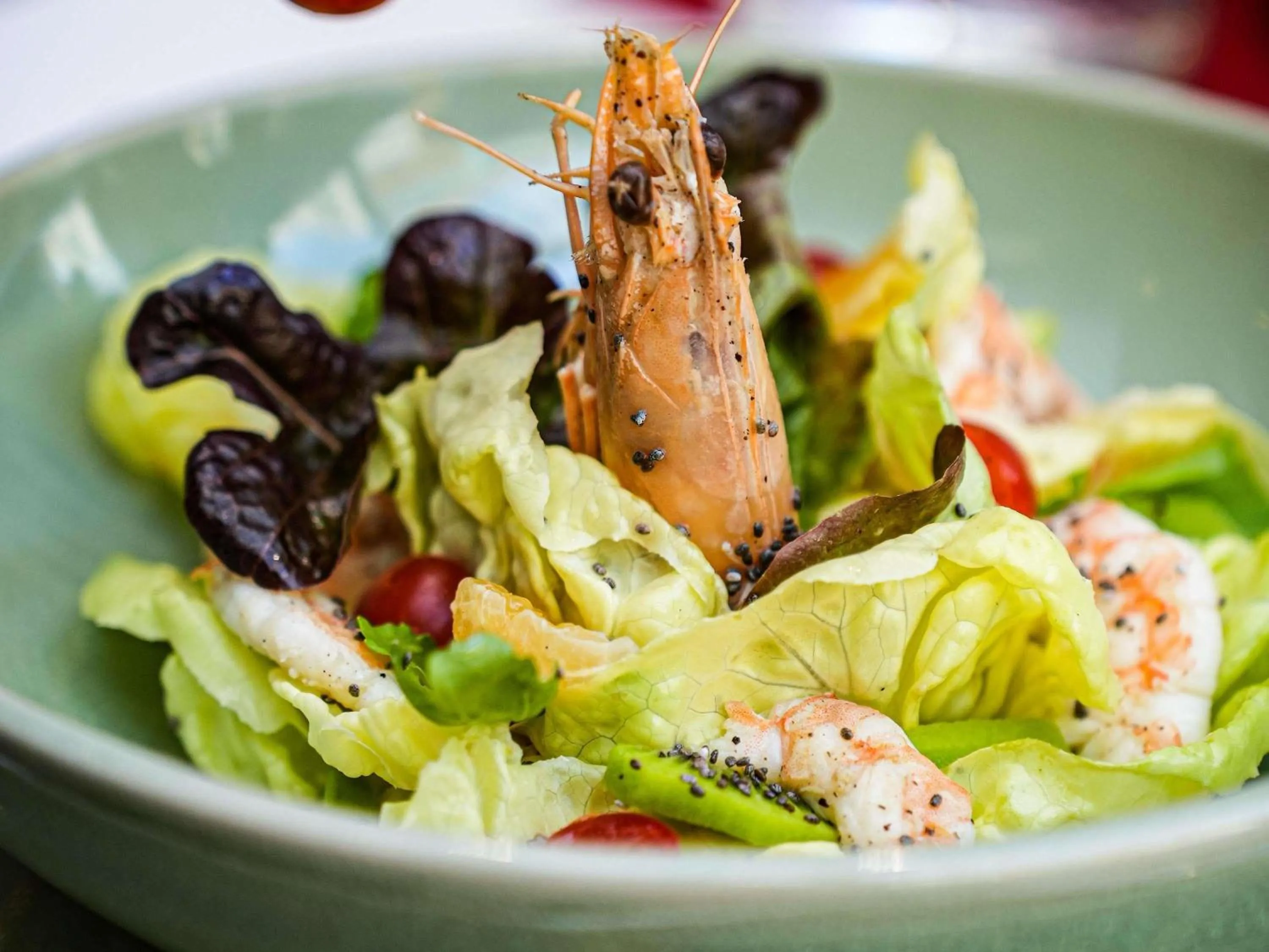 Restaurant/places to eat in Ibis Sfax