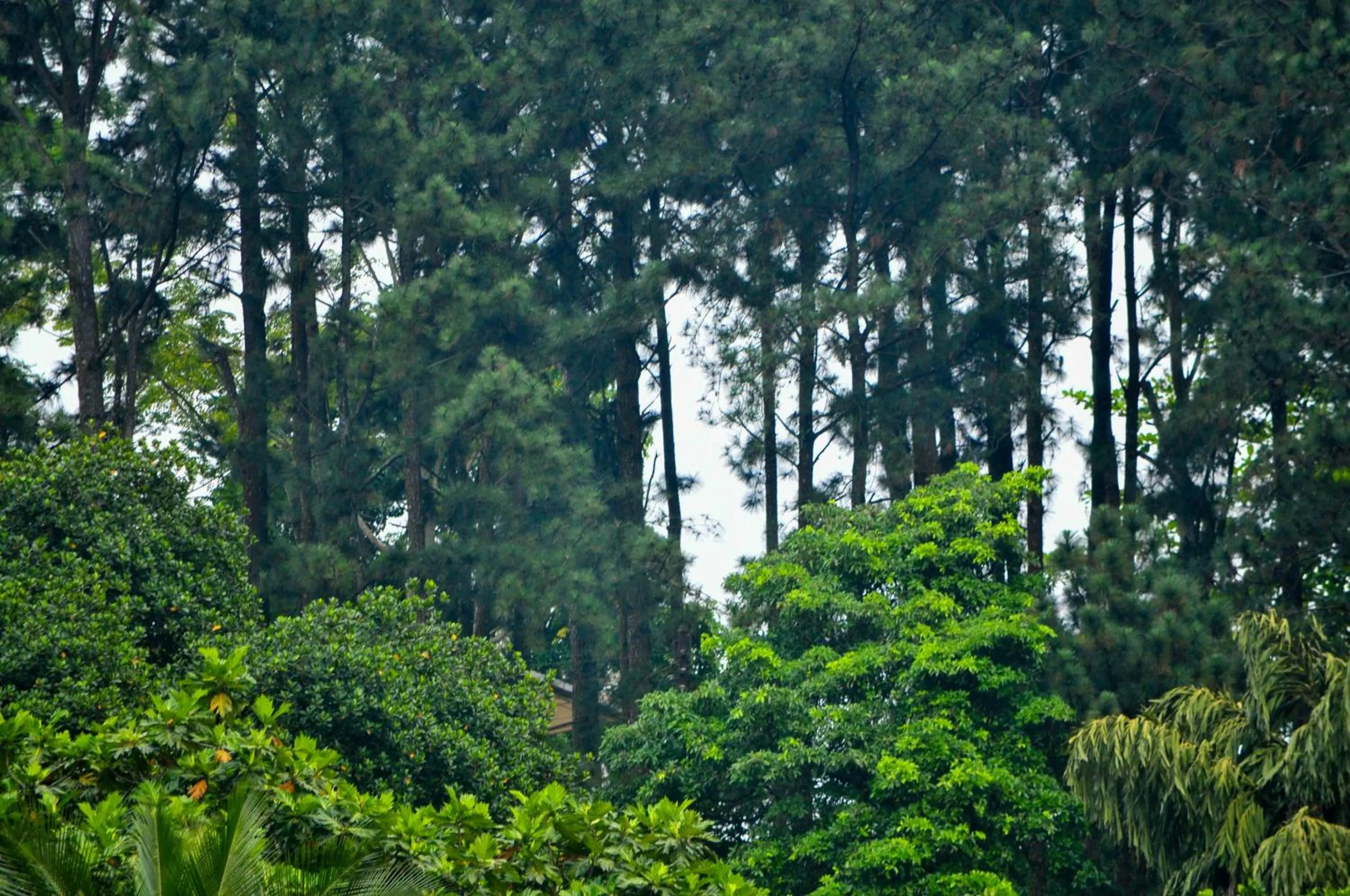 Property building in Vendol Maliga Edge