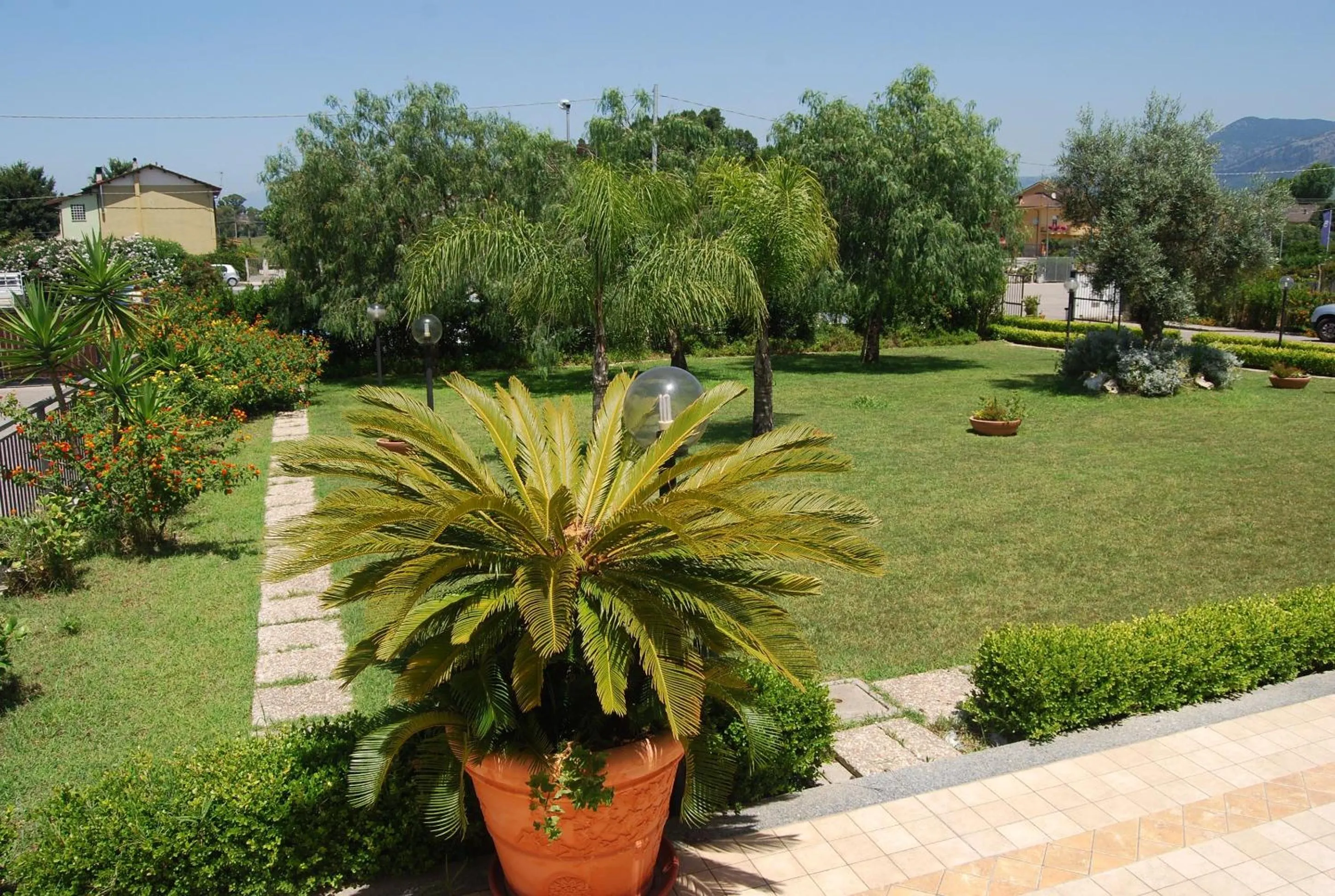 Garden in Telma Hotel