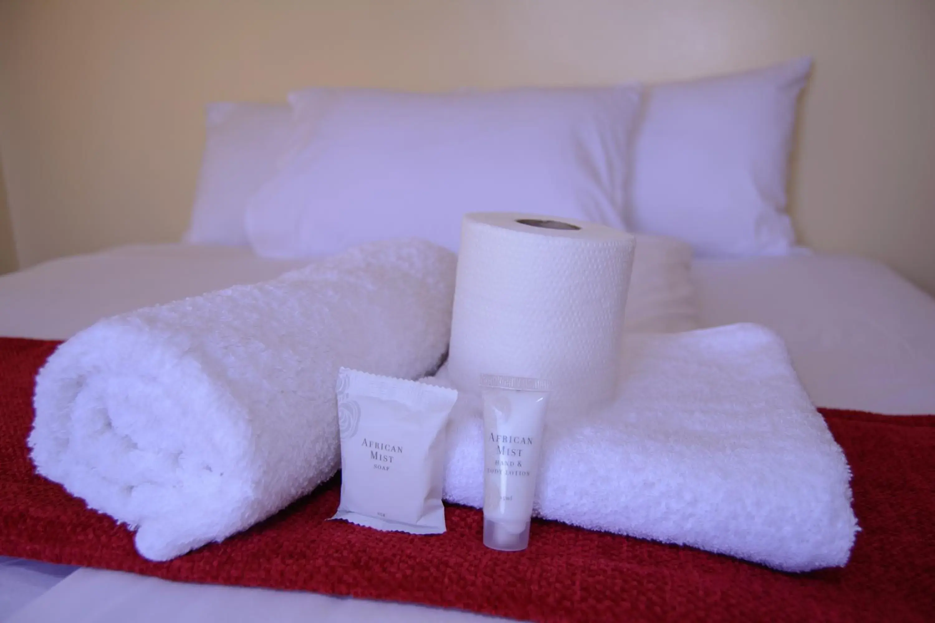 Single Room with Shared Shower and Toilet in Royal Guest House Single Room with Shared Shower and Toilet in Royal Guest House