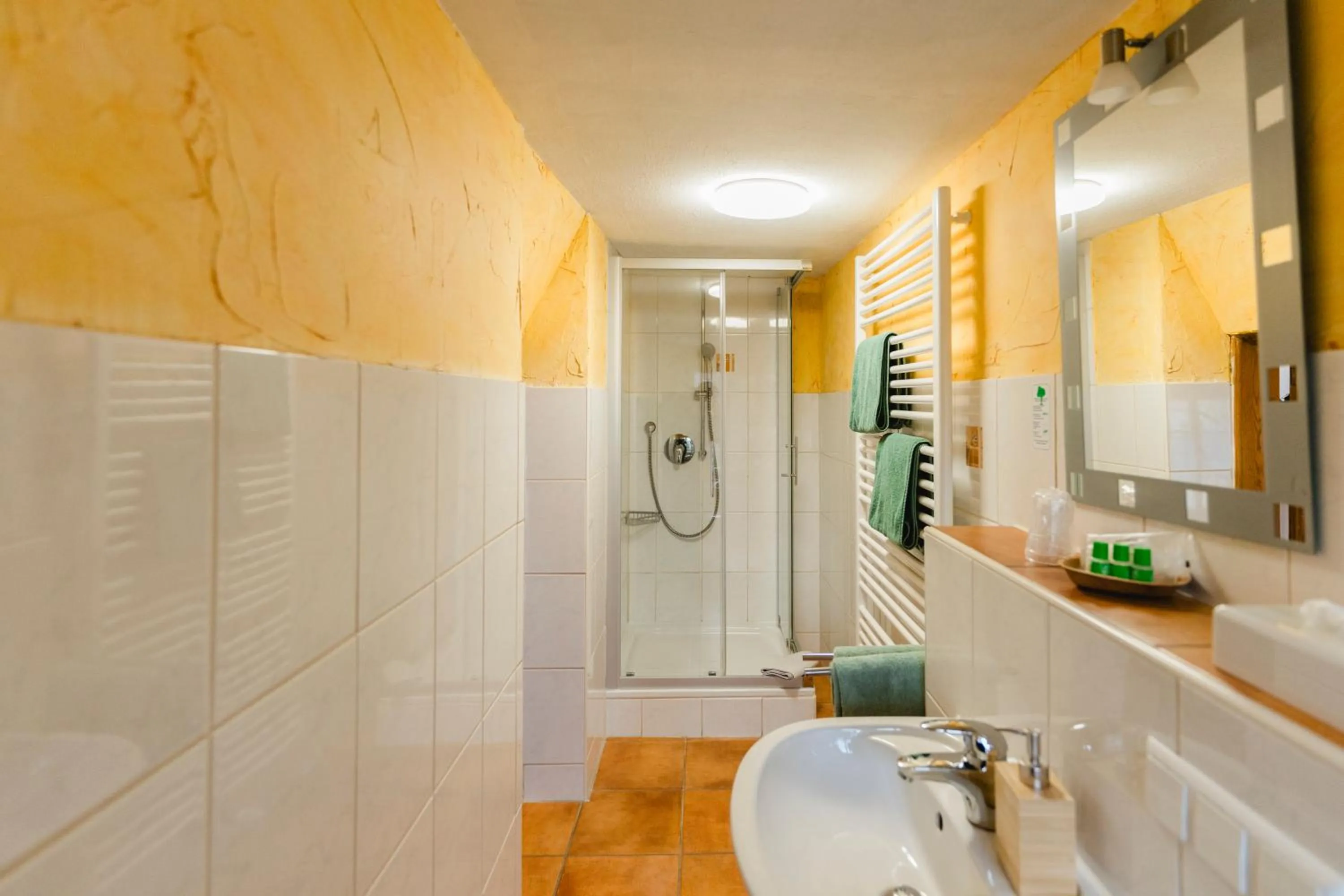 Shower in Landhotel im Hexenwinkel