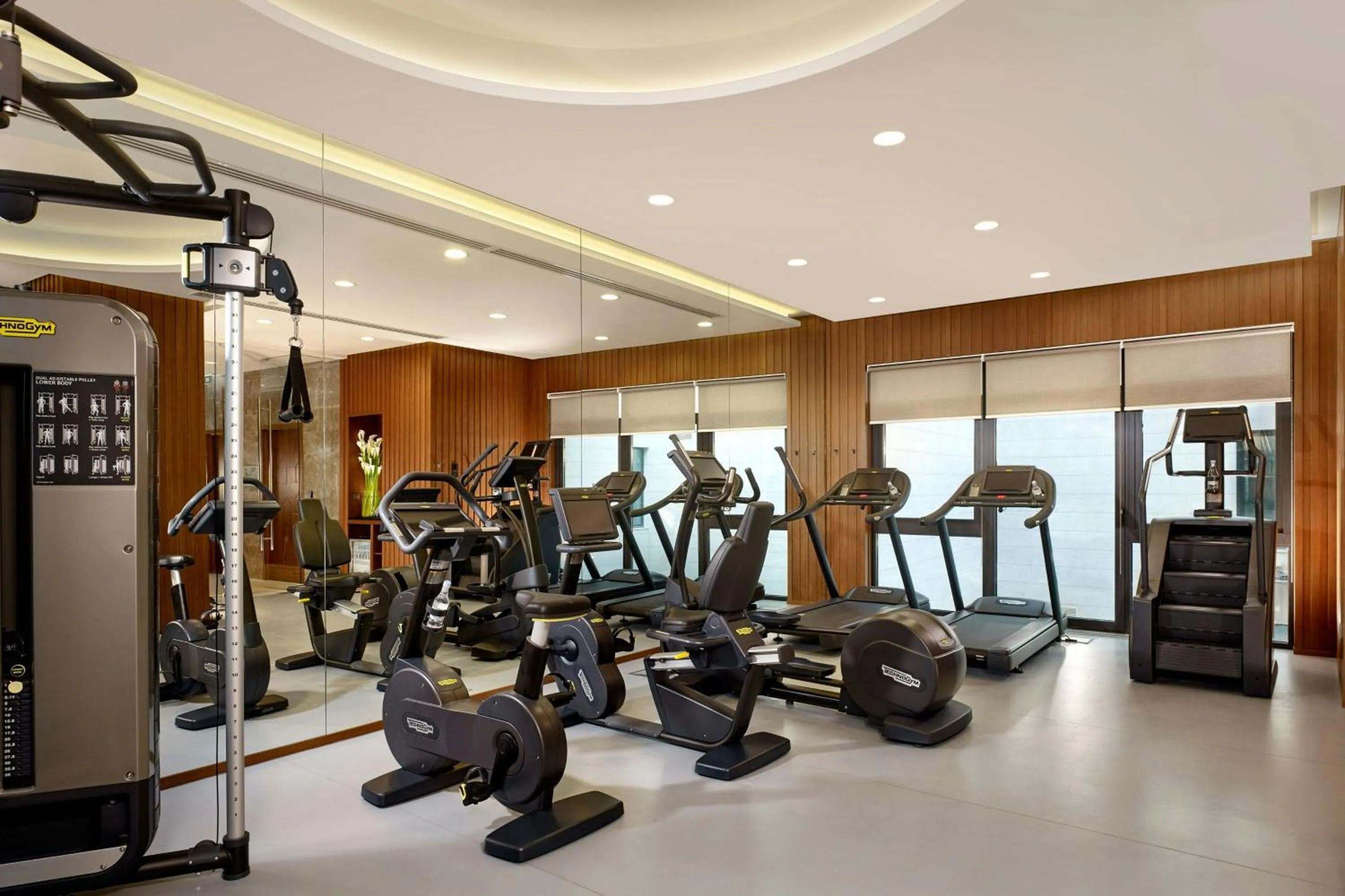 Fitness centre/facilities in The Alexander, a Luxury Collection Hotel, Yerevan