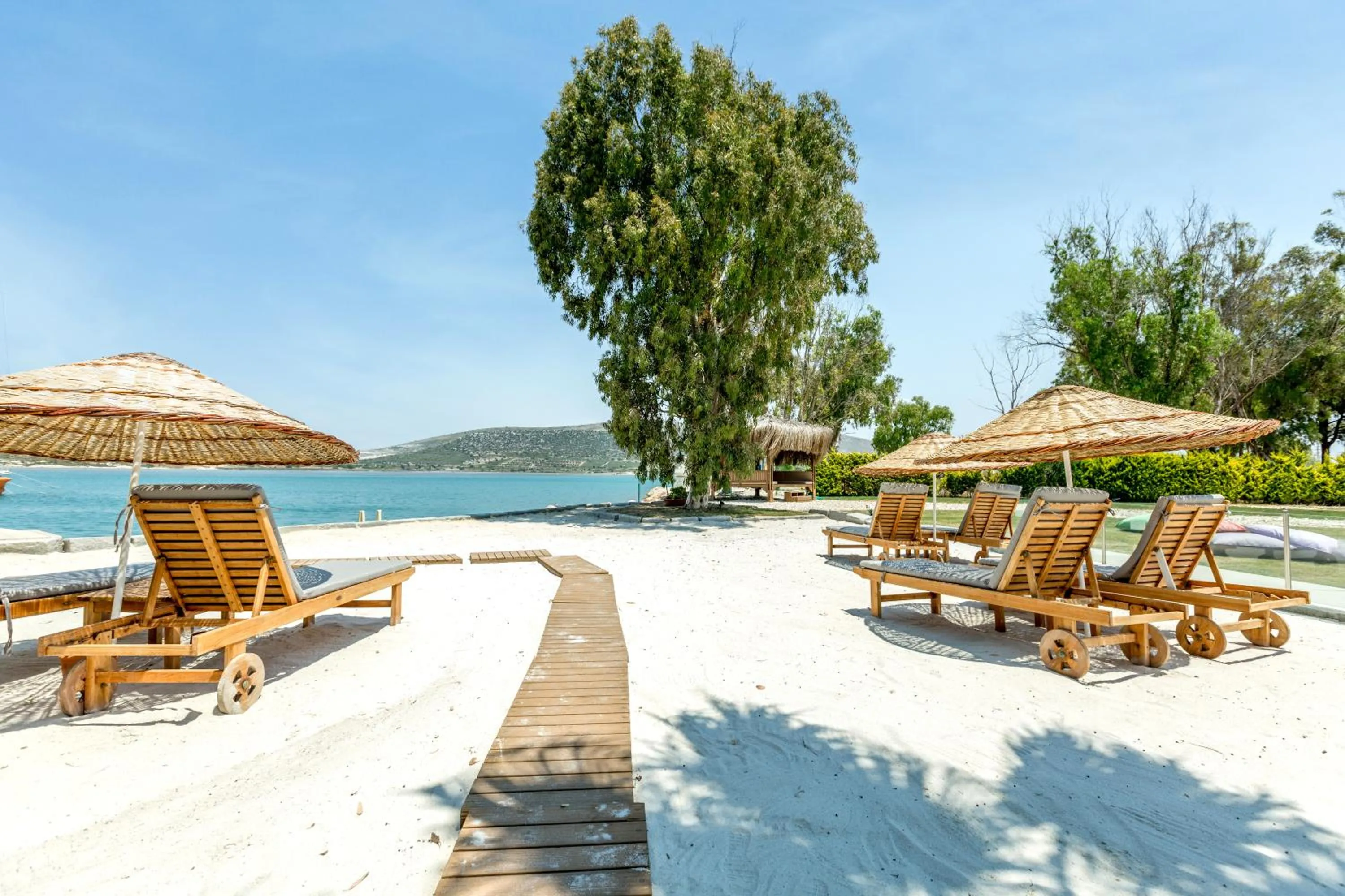 Fishing in Antmare Hotel