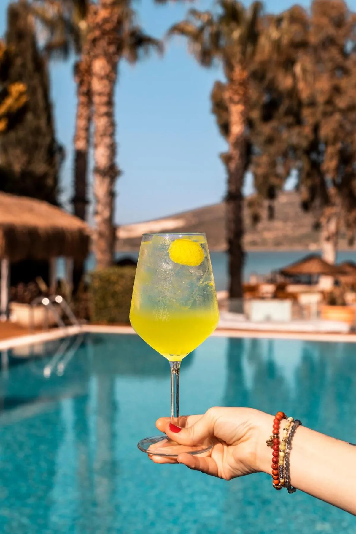 Alcoholic drinks in Antmare Hotel