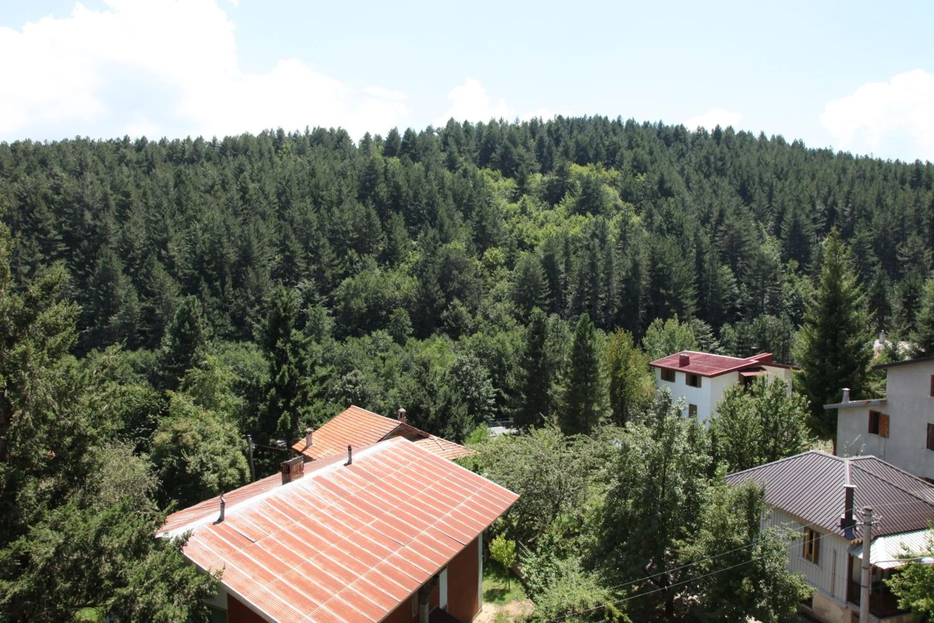 Facade/entrance in Hotel Tasso