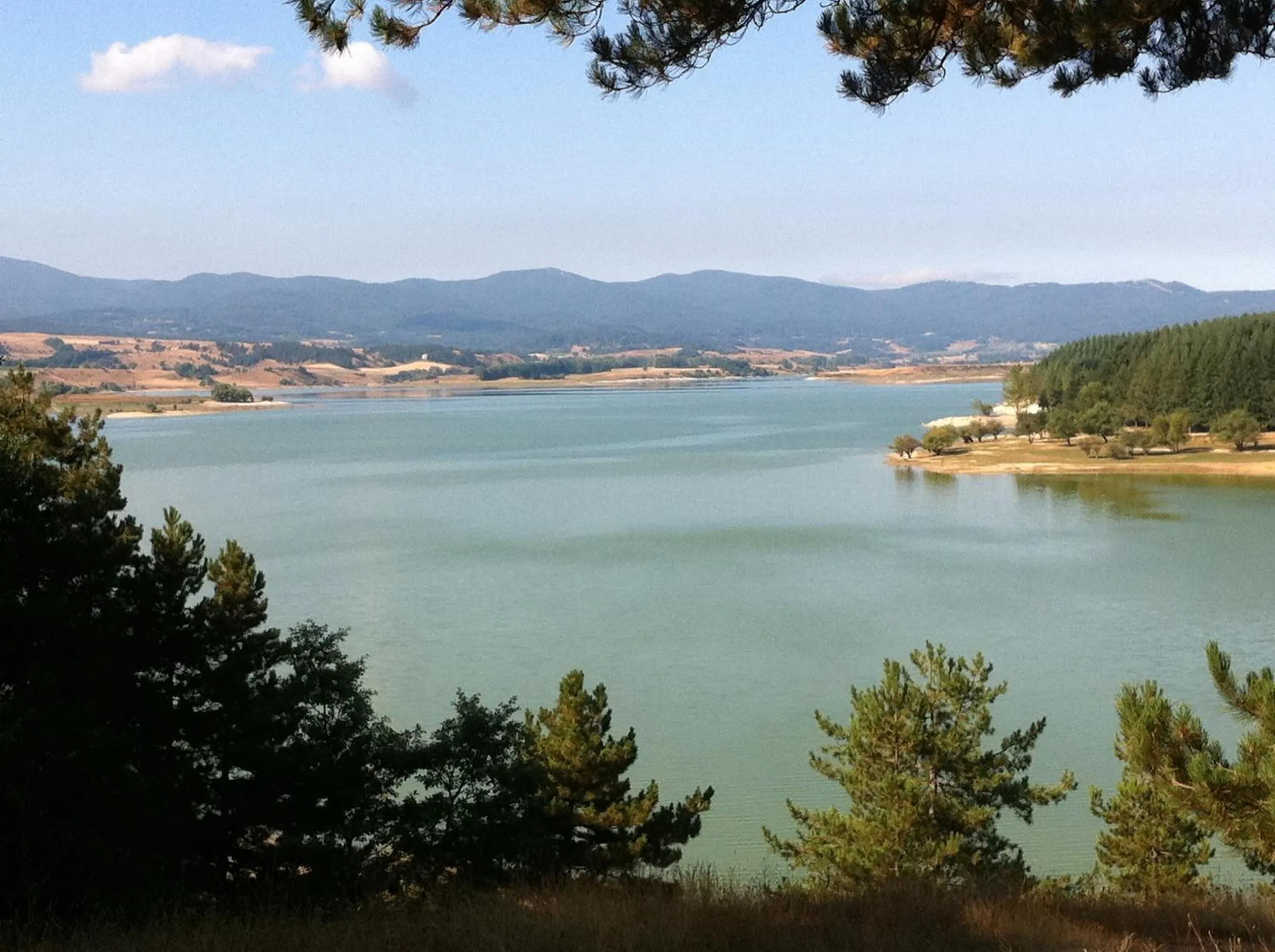 Area and facilities in Hotel Tasso