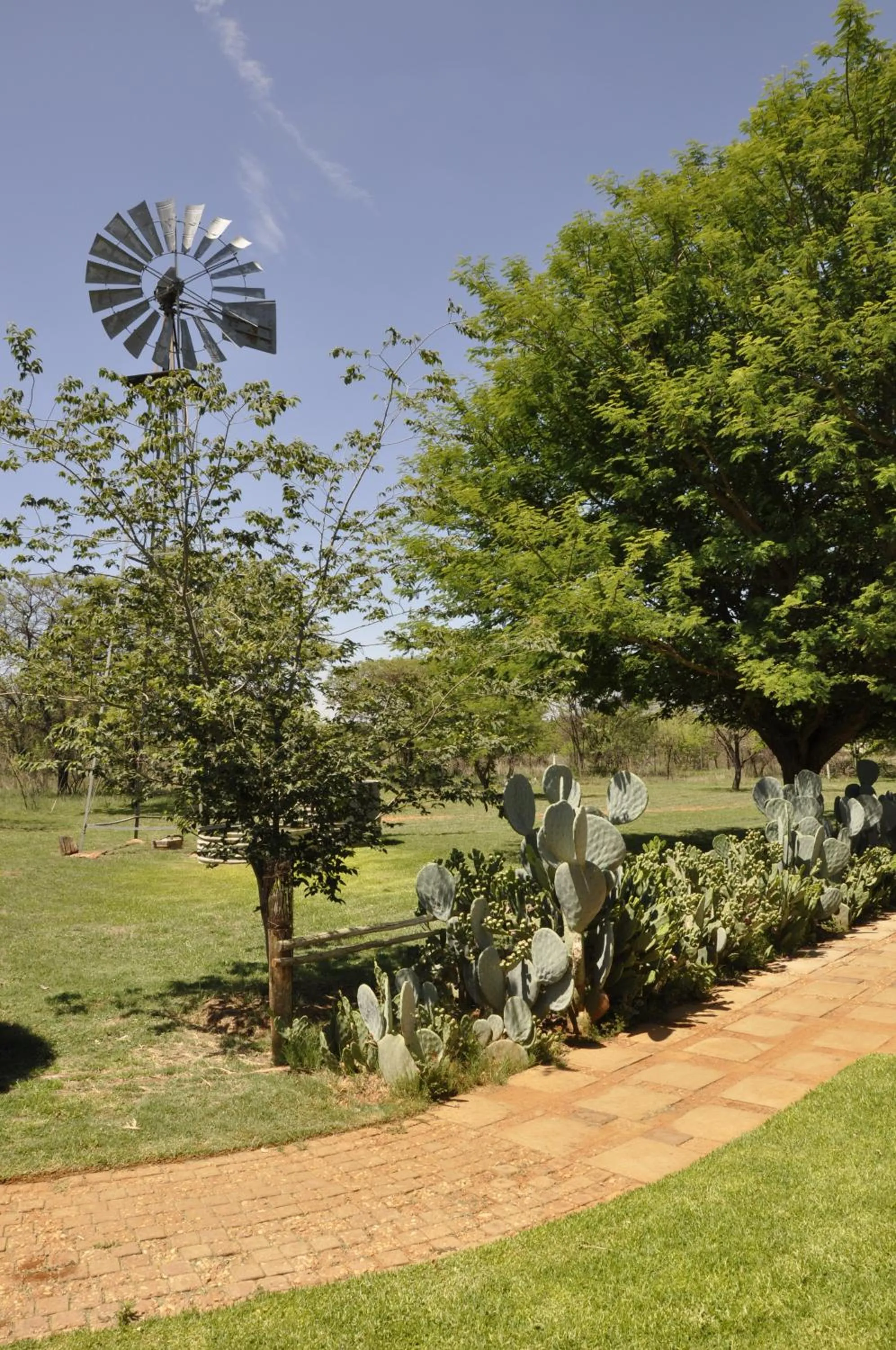 Garden in Grincourt B&B- with No Load shedding
