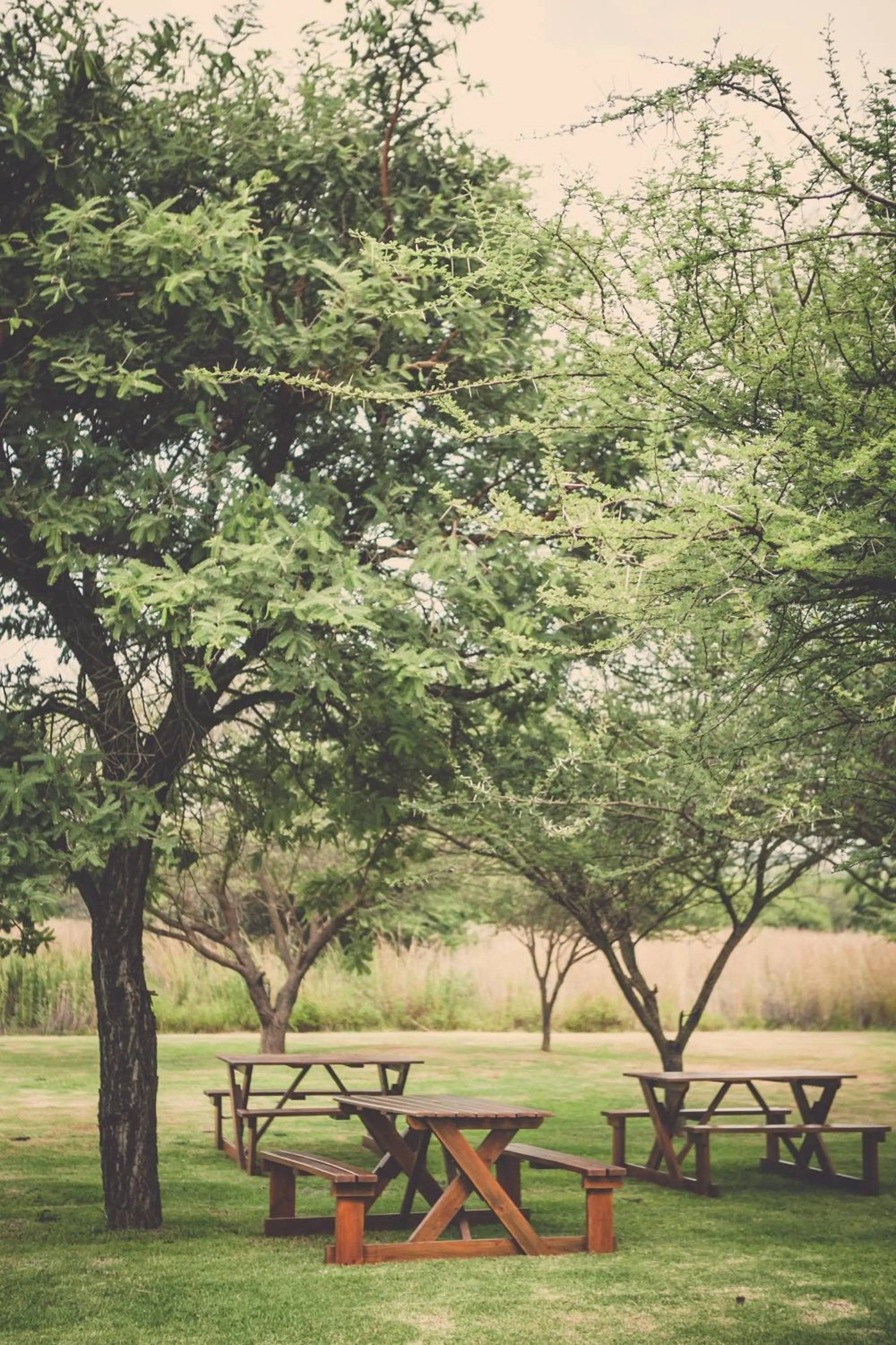 Garden in Grincourt B&B- with No Load shedding