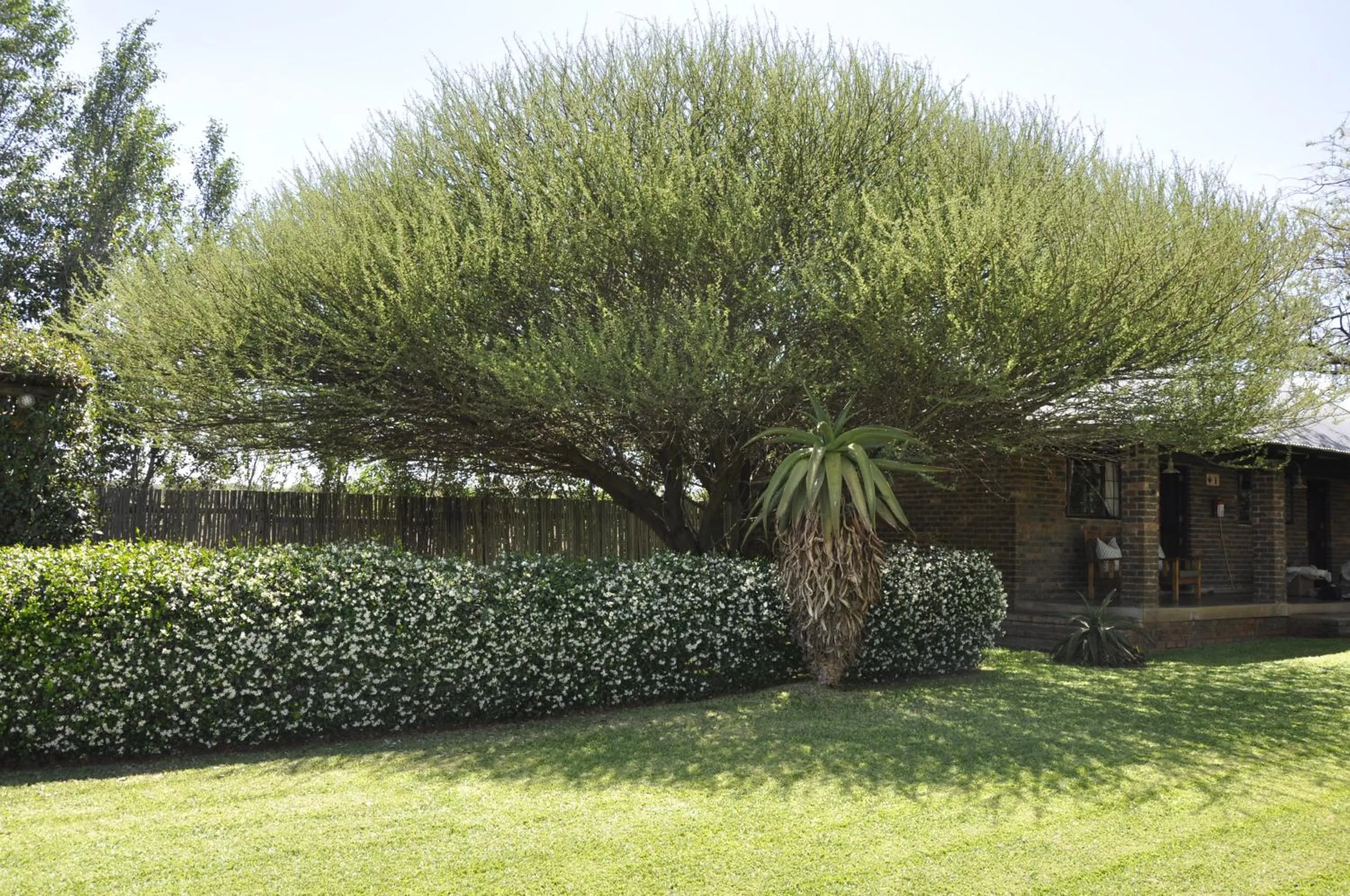 Garden in Grincourt B&B- with No Load shedding