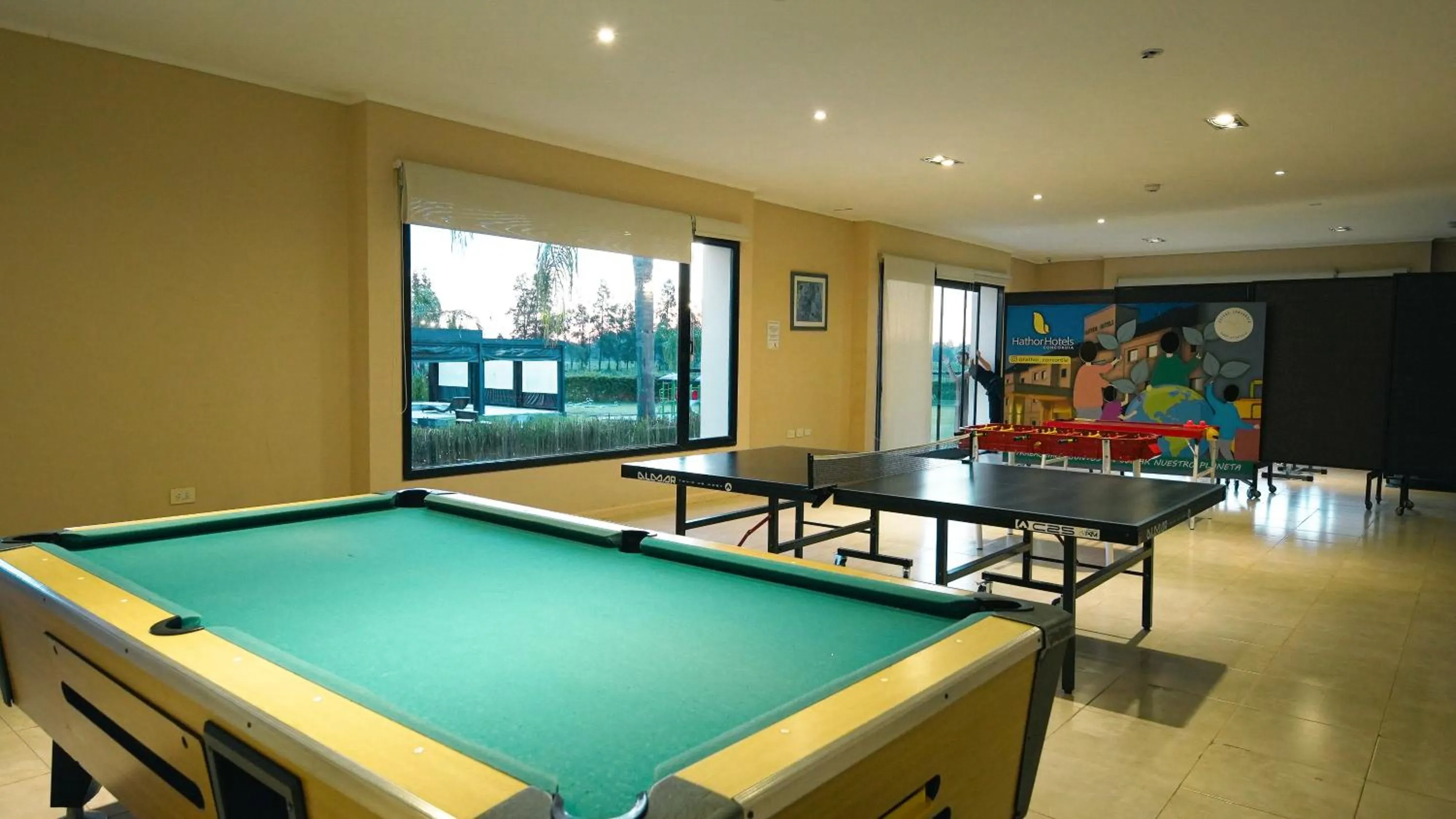 Game Room in Hathor Concordia