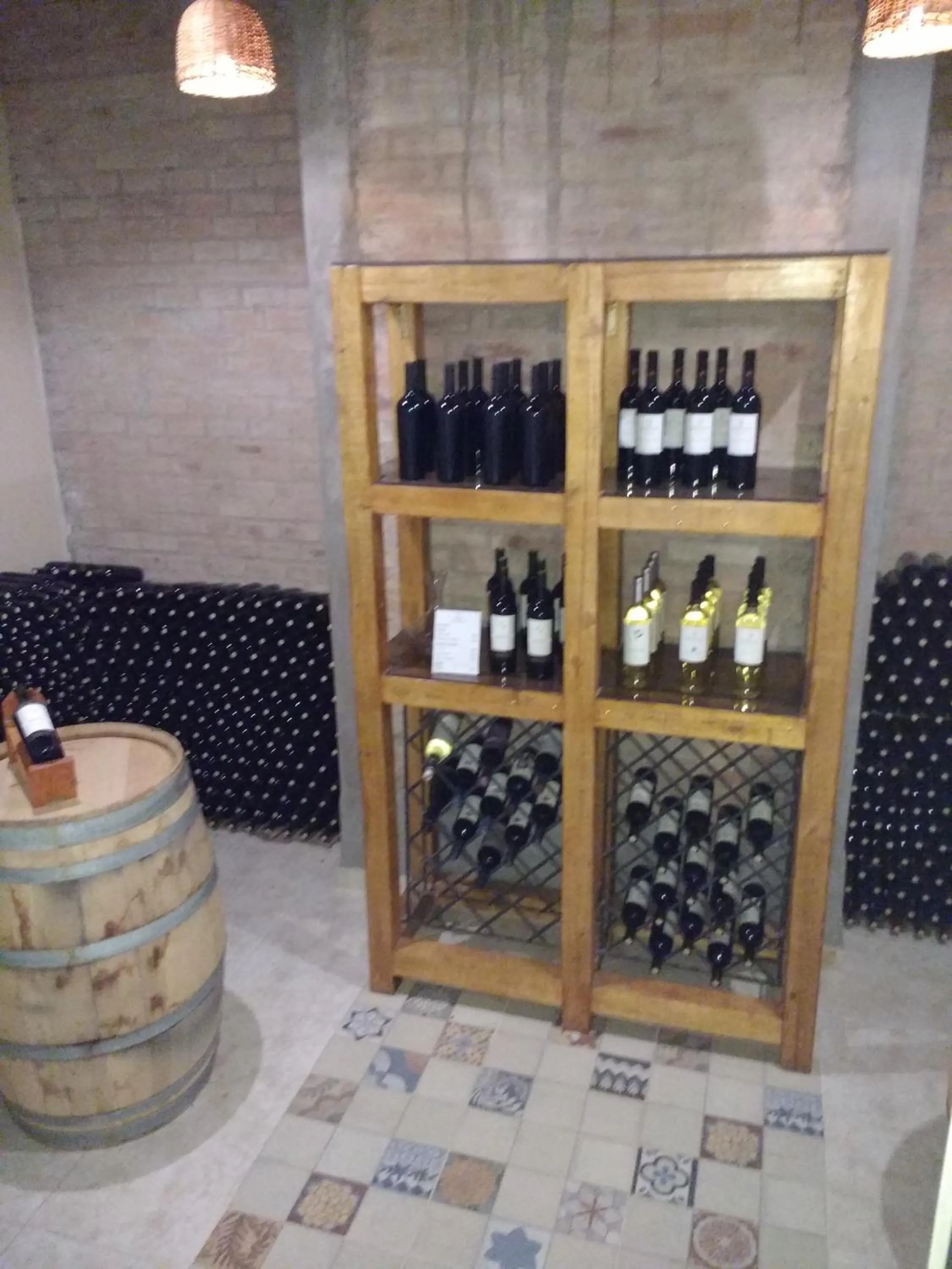 Alcoholic drinks in Posada Cavieres Wine Farm