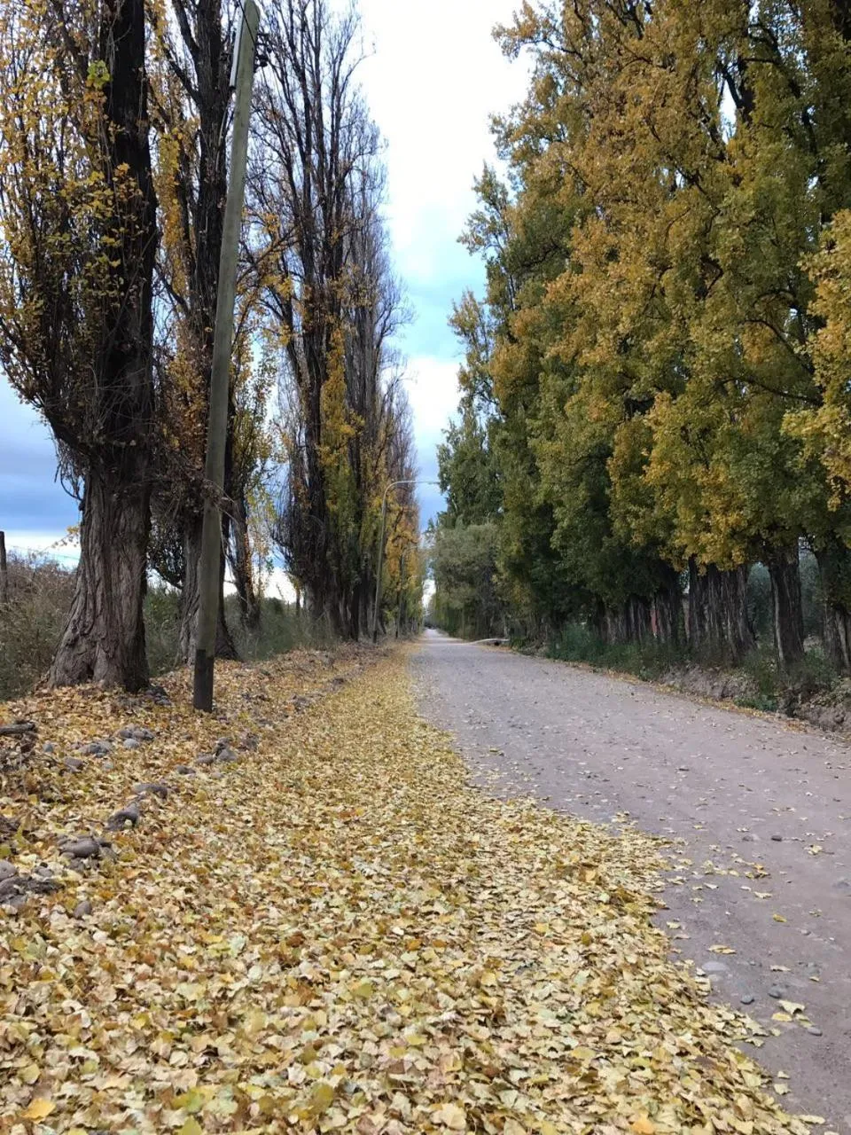 Day in Posada Cavieres Wine Farm