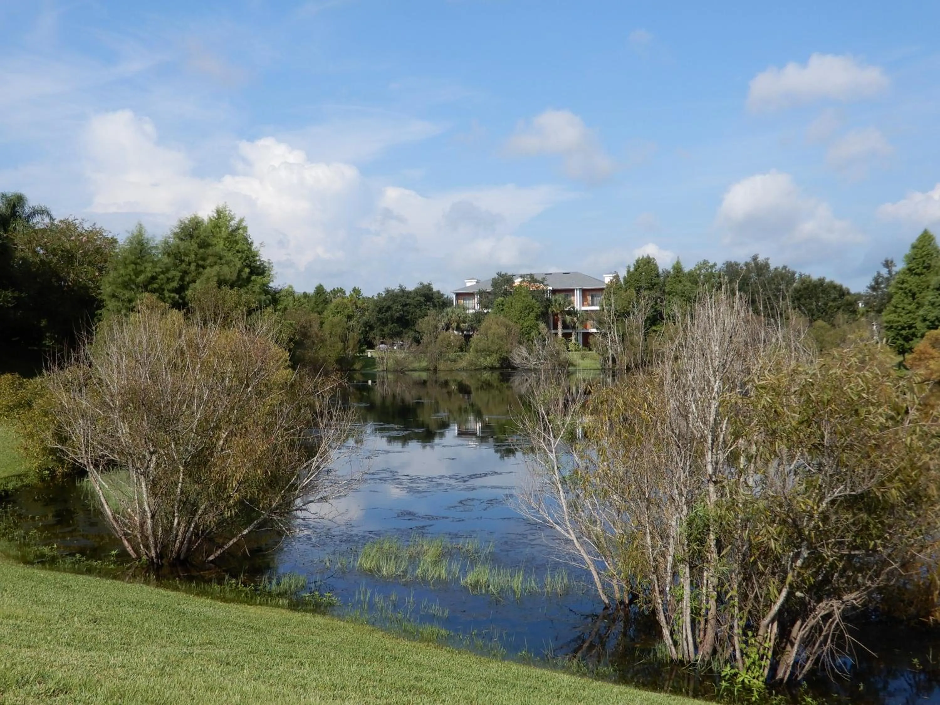 Property building in Bahama Bay