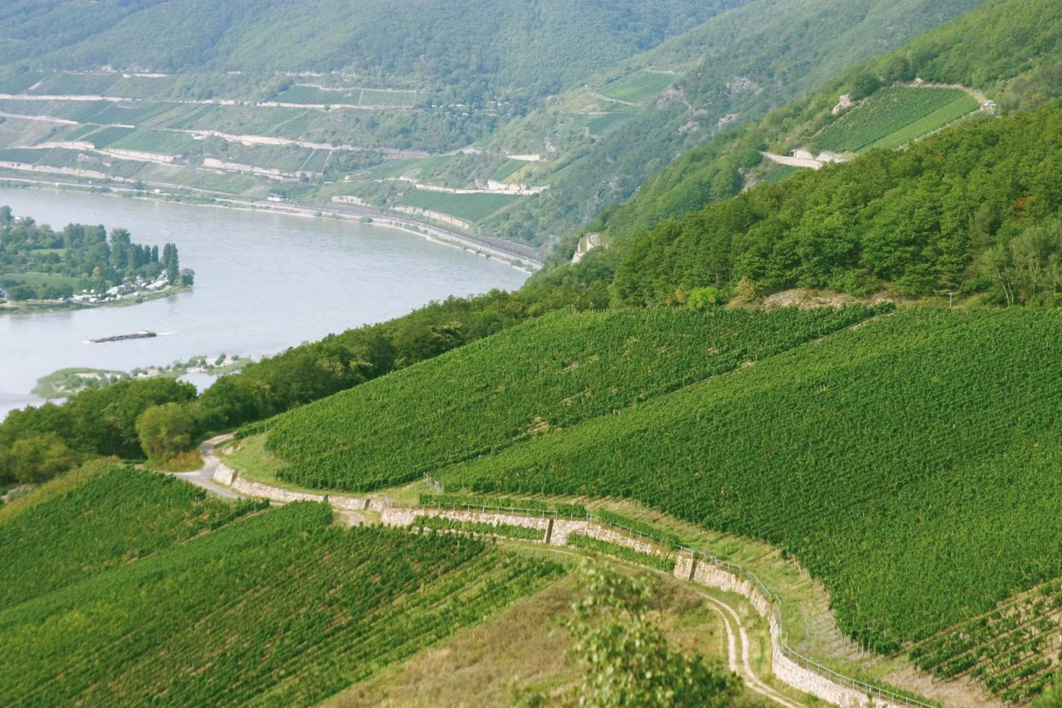 Natural landscape in Hotel Kronenschlösschen