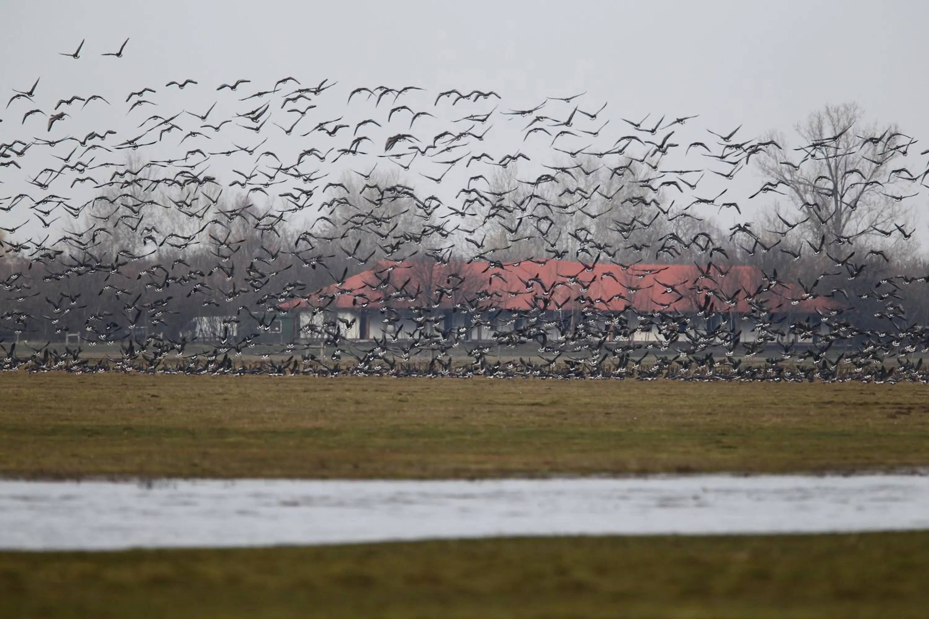 Activities in Bibic Nature Lodge