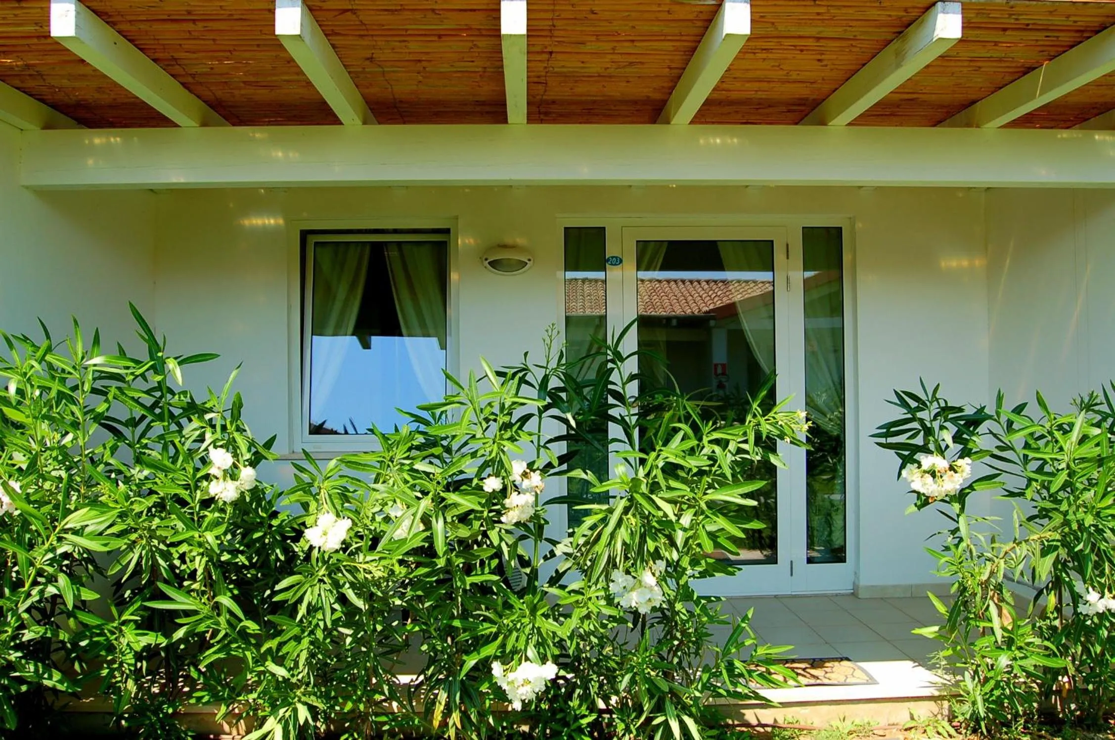 Balcony/Terrace in Hotel Budoni Beach