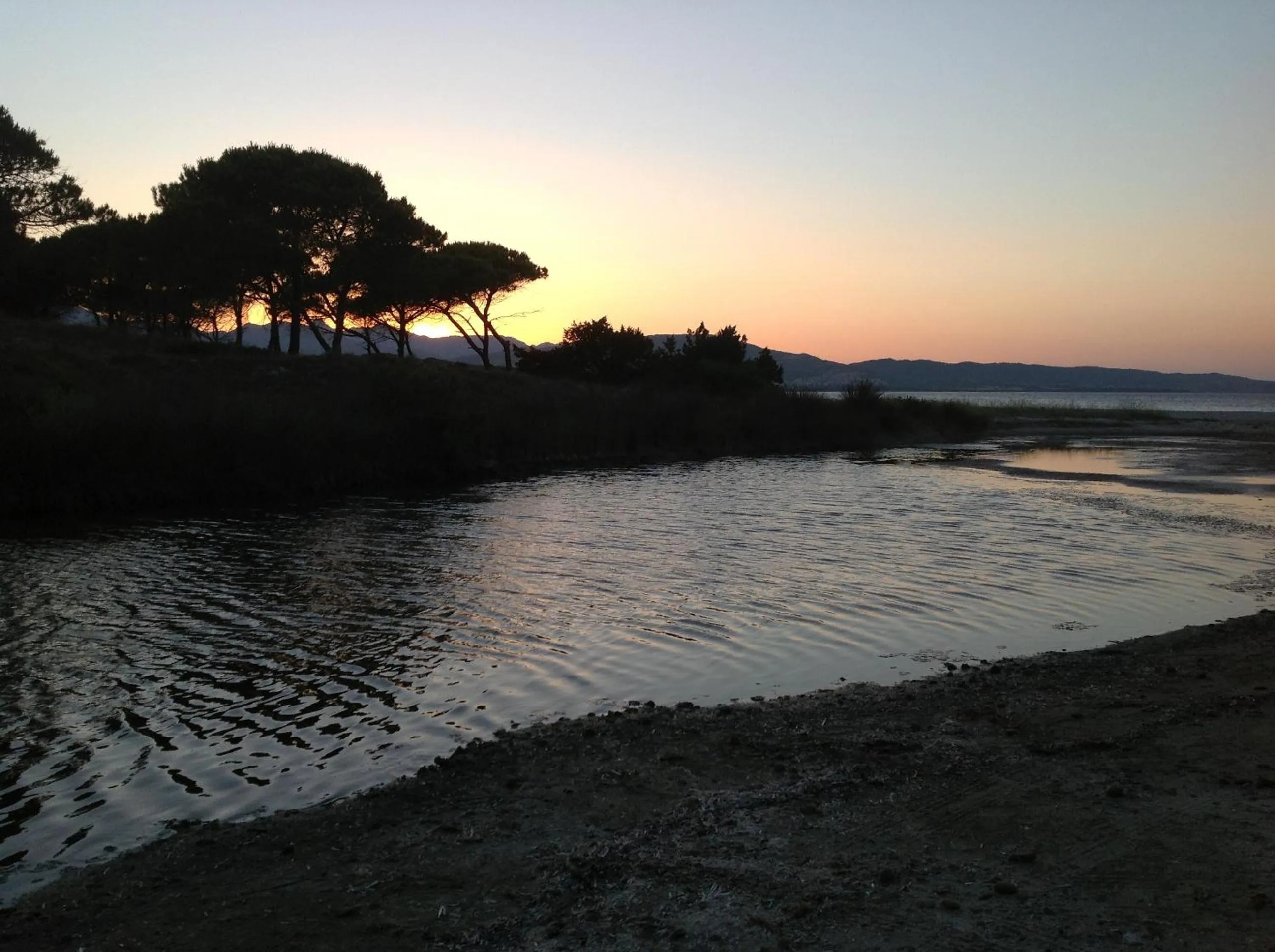 Area and facilities in Hotel Budoni Beach