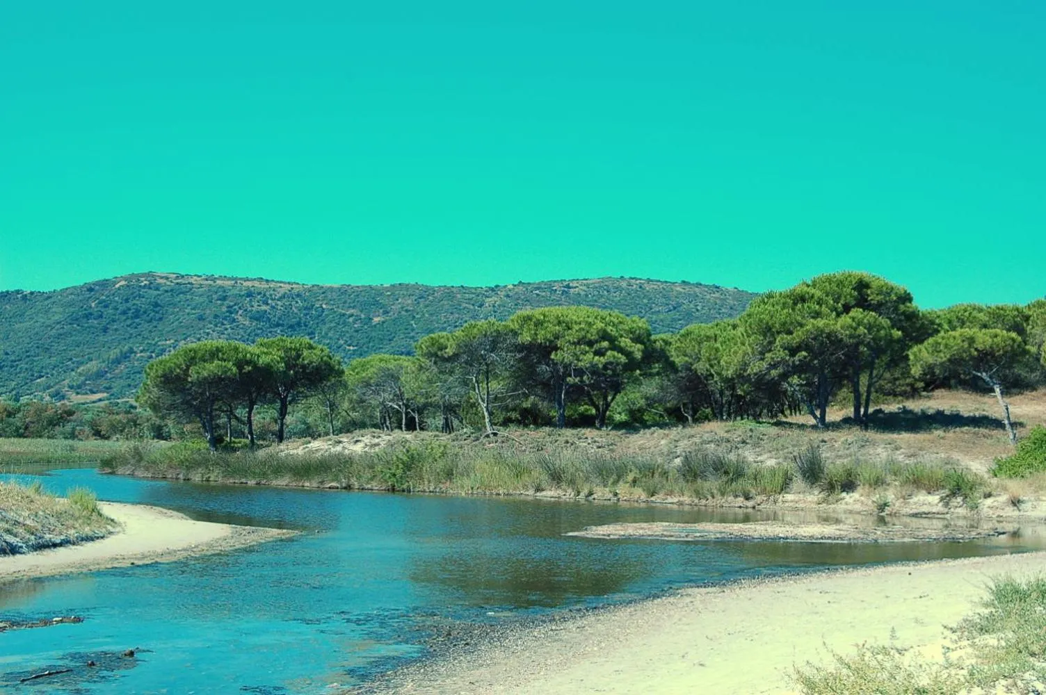 Area and facilities in Hotel Budoni Beach