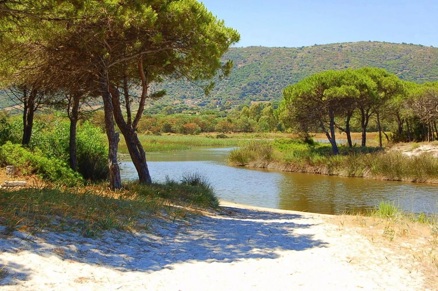 Area and facilities in Hotel Budoni Beach