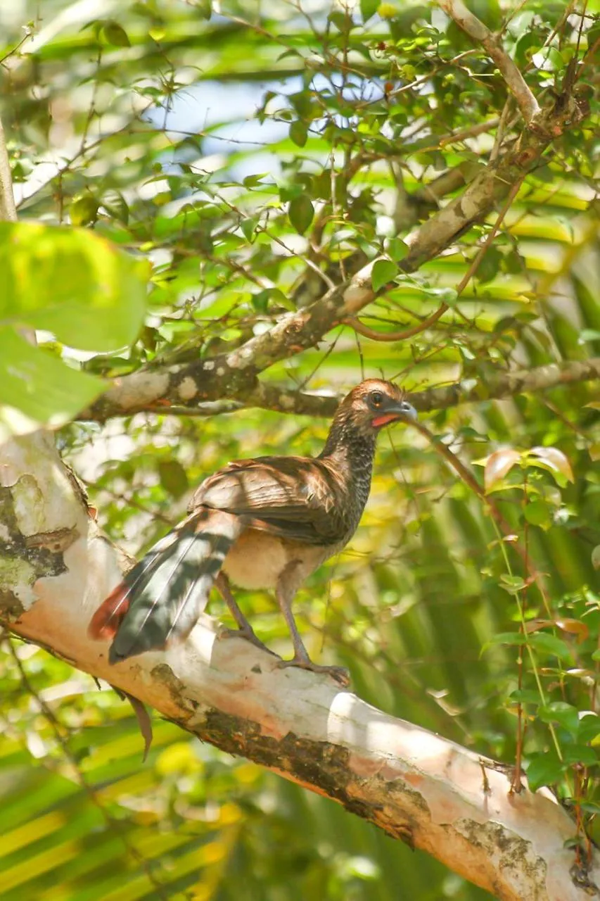 Casas da ilda - Casa estrela