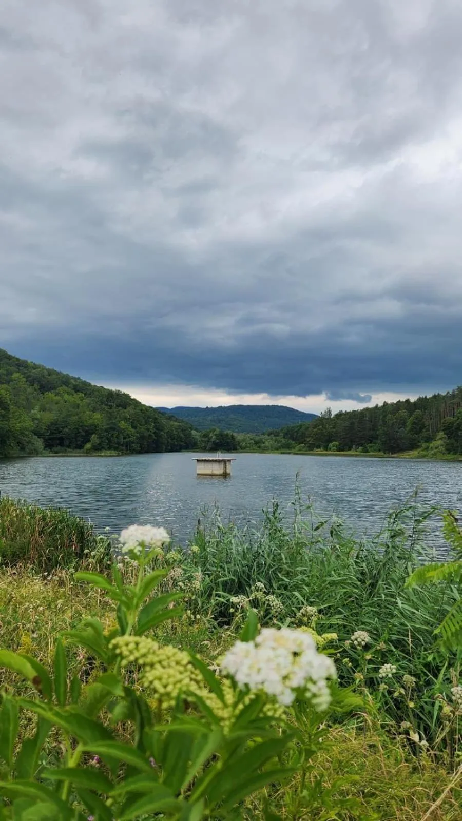 Neighbourhood in Little River Guest House