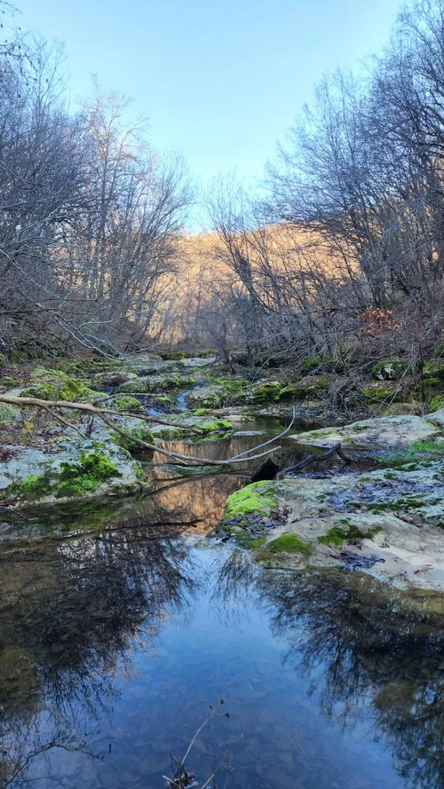 Neighbourhood in Little River Guest House