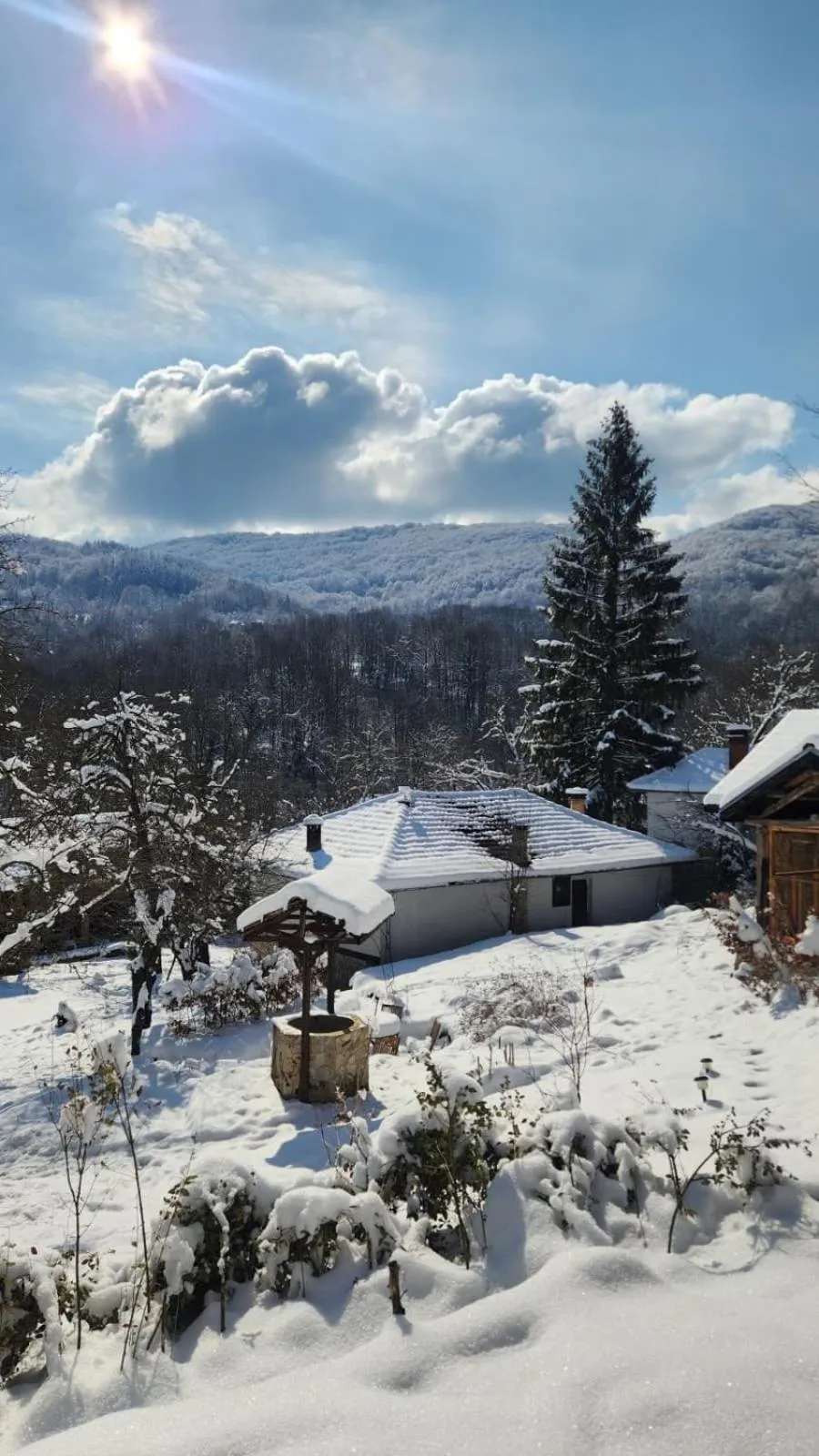 Natural landscape in Little River Guest House