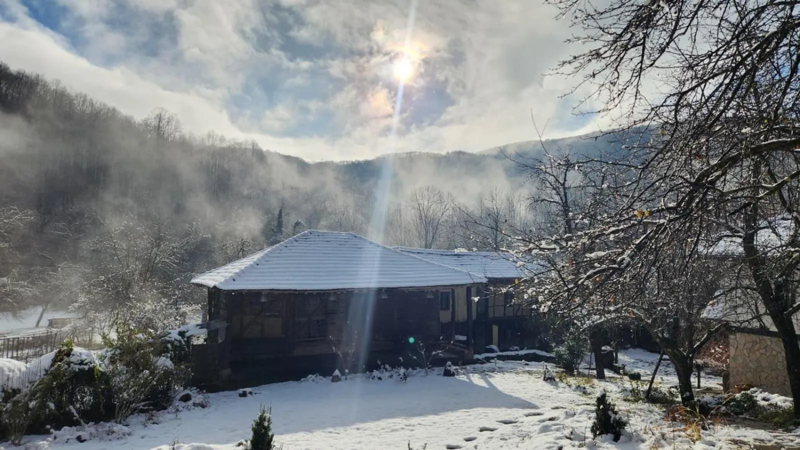 Garden in Little River Guest House