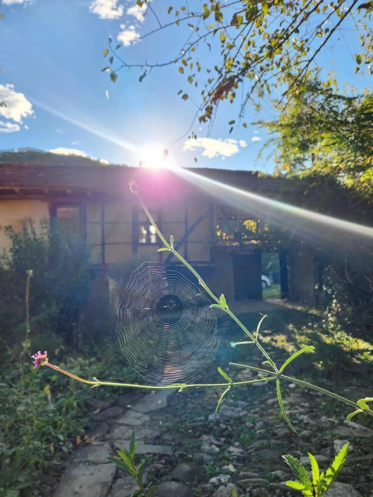 Lobby or reception in Little River Guest House