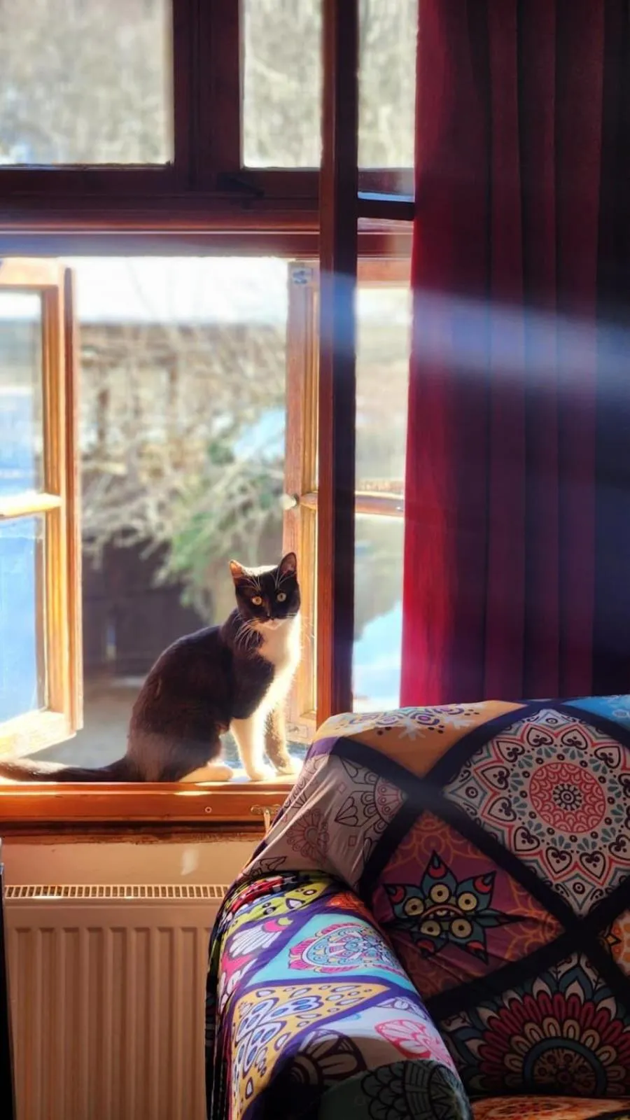 Other in Little River Guest House