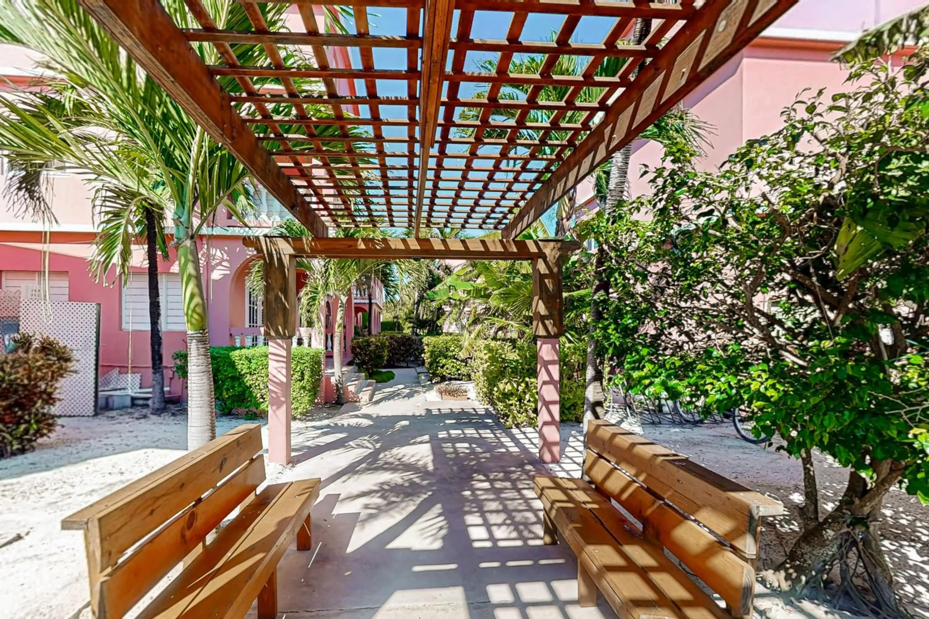 Cacao @ Caribe Island