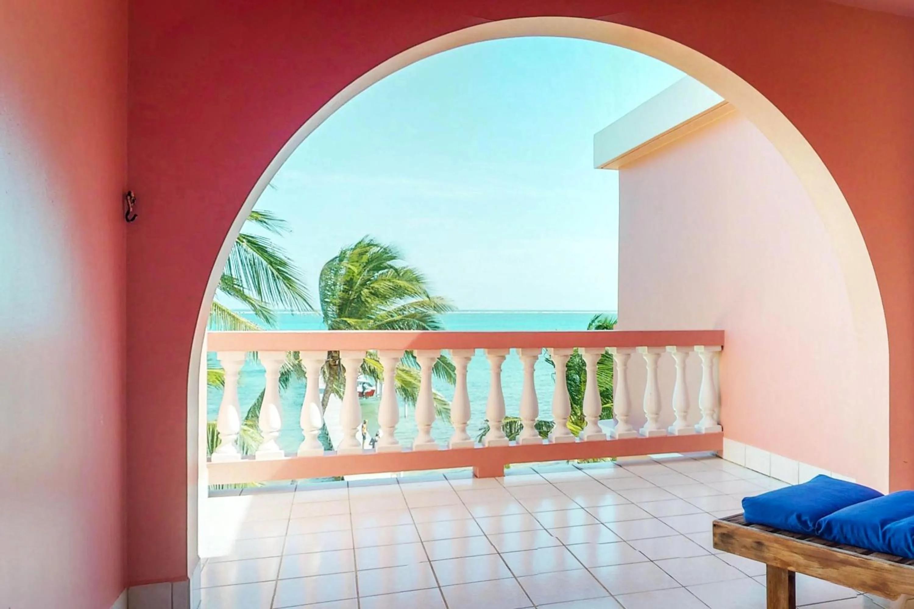 Cacao @ Caribe Island