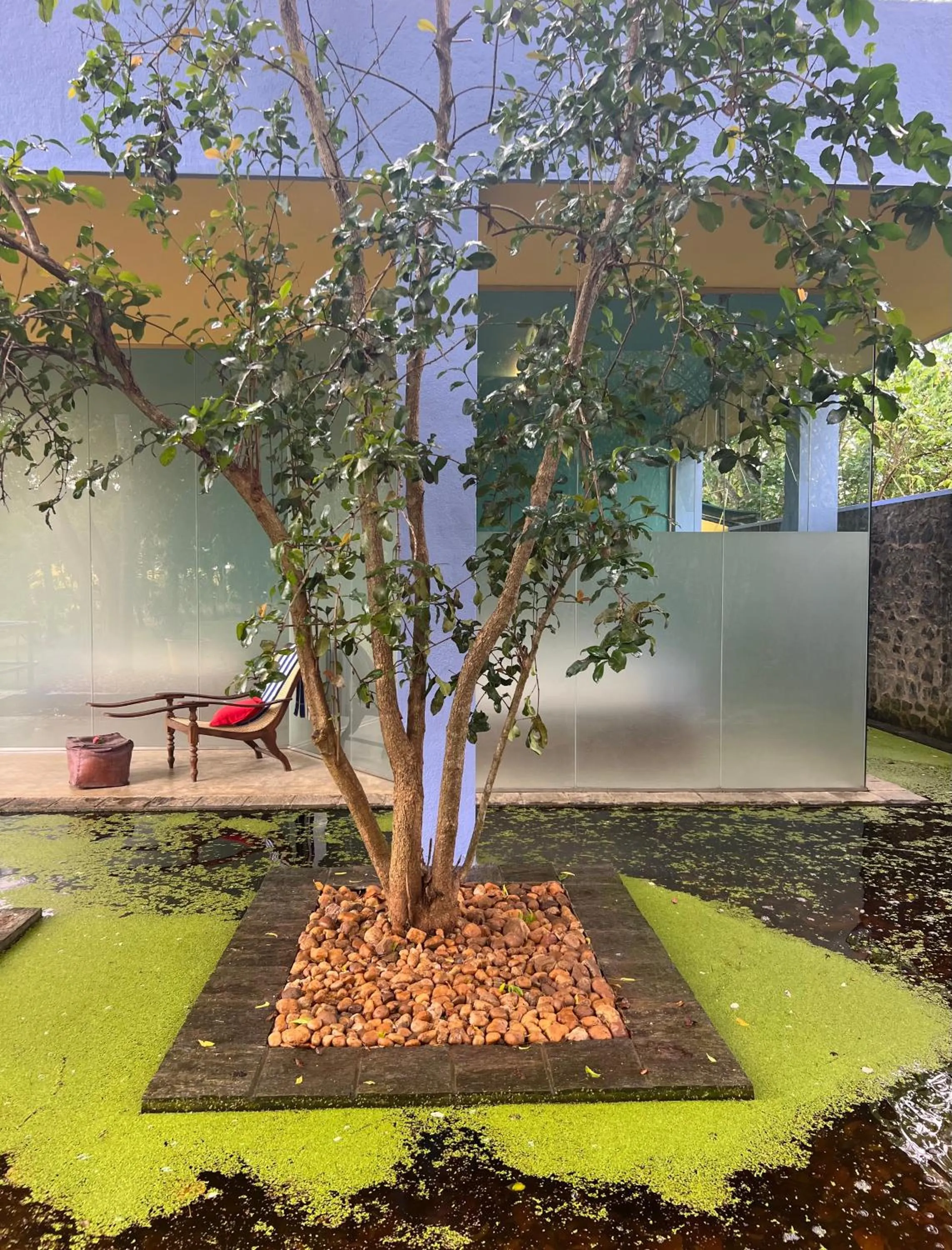 Spa and wellness centre/facilities in Buckingham Place