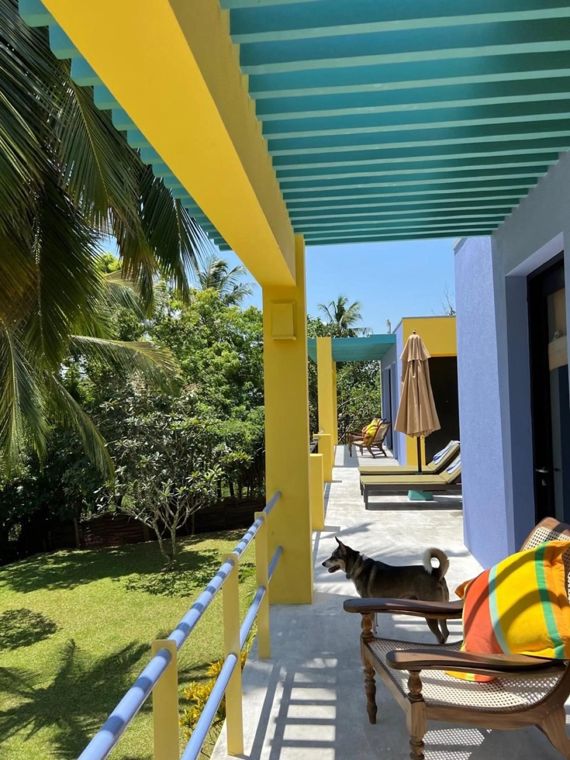 Property building in Buckingham Place