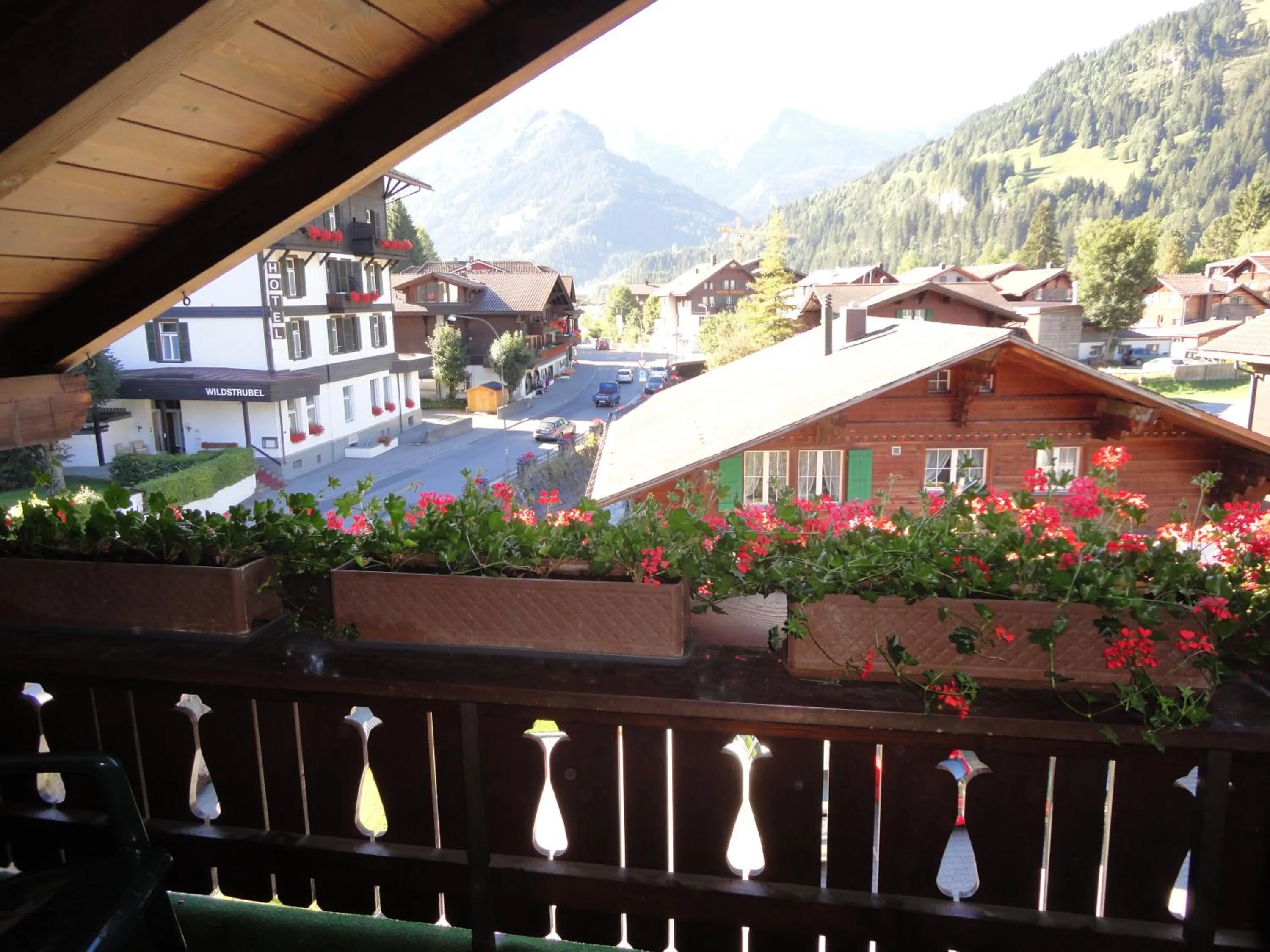 Balcony/Terrace in Hotel Garni Alpenruh