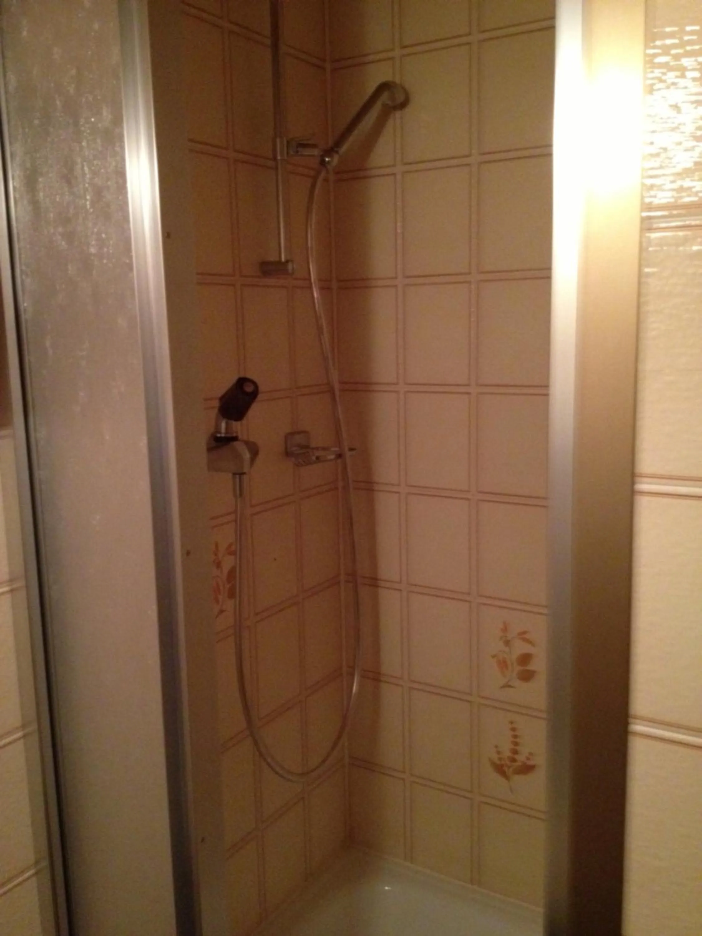 Shower in Hotel Garni Alpenruh